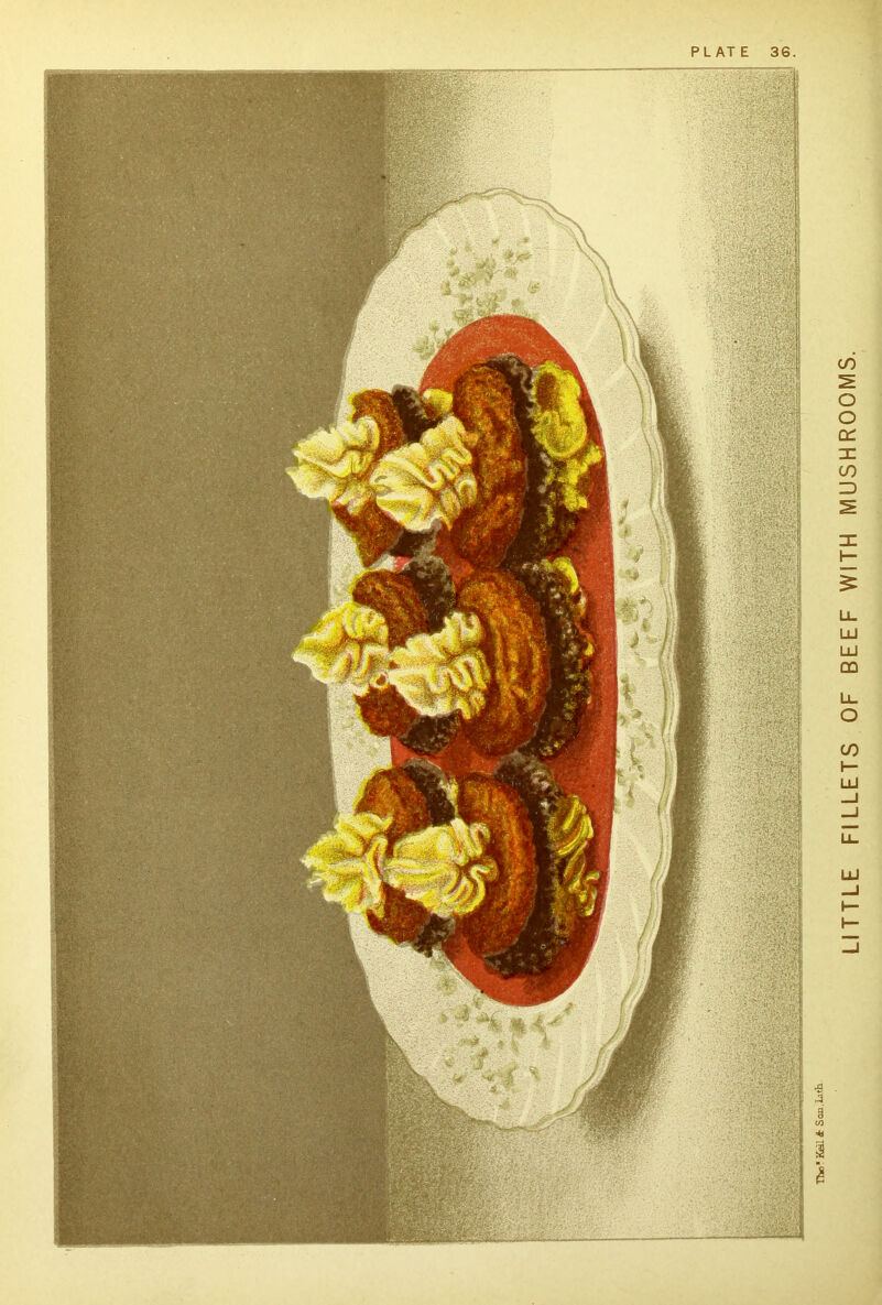 PLATE 36. LITTLE FILLETS OF BEEF WITH MUSHROOMS