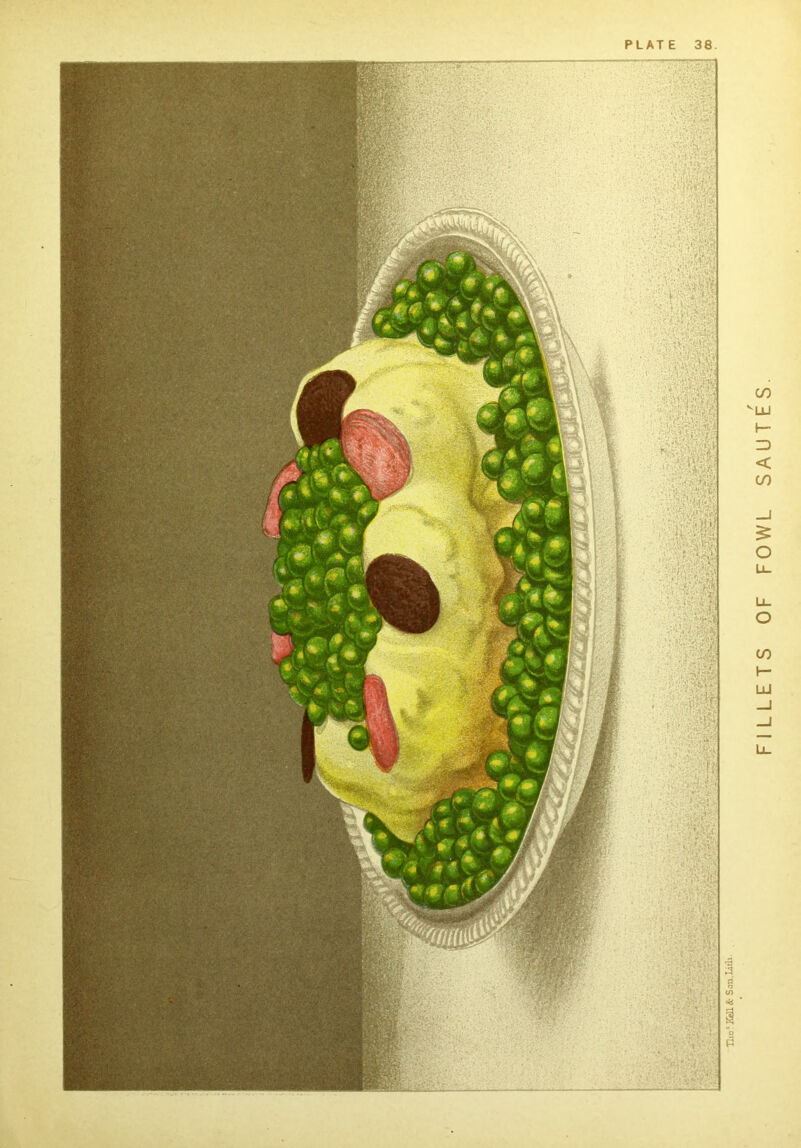 PLATE 38 FILLETS OF FOWL SAUTES.