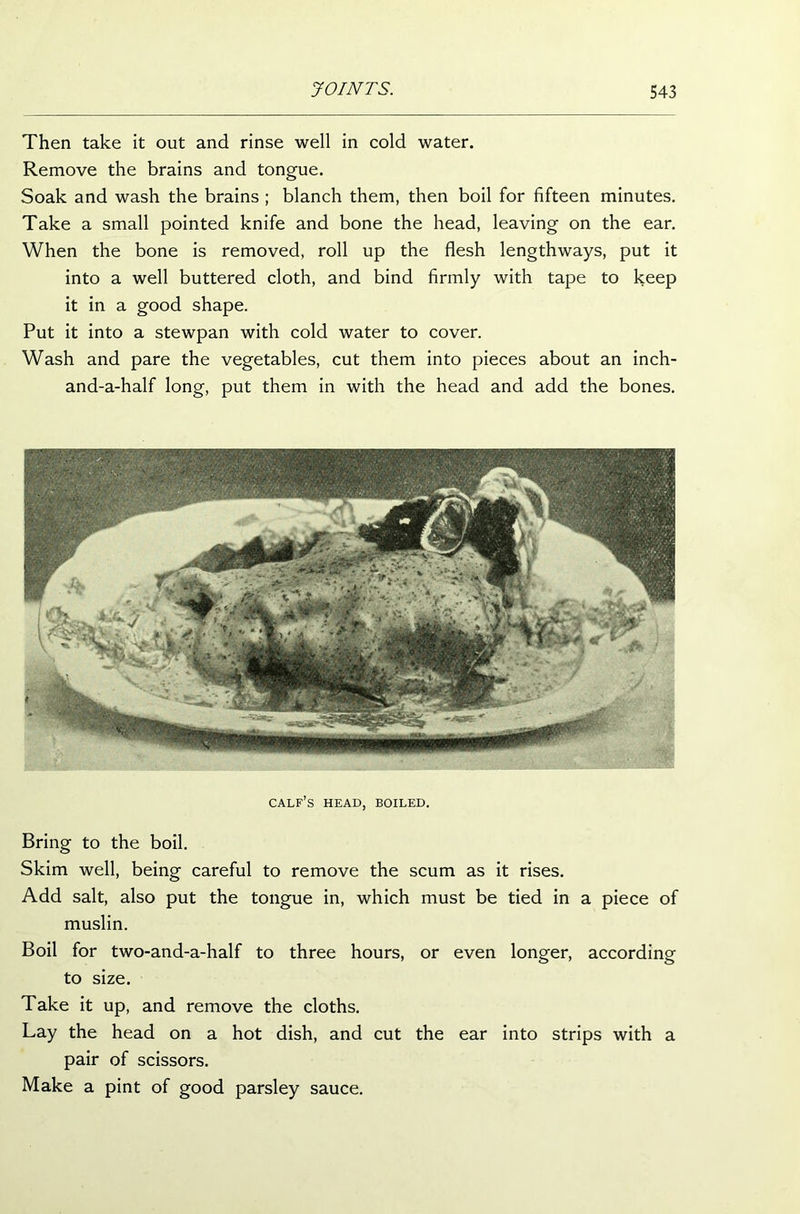 Then take it out and rinse well in cold water. Remove the brains and tongue. Soak and wash the brains ; blanch them, then boil for fifteen minutes. Take a small pointed knife and bone the head, leaving on the ear. When the bone is removed, roll up the flesh lengthways, put it into a well buttered cloth, and bind firmly with tape to keep it in a good shape. Put it into a stewpan with cold water to cover. Wash and pare the vegetables, cut them into pieces about an inch- and-a-half long, put them in with the head and add the bones. calf’s head, boiled. Bring to the boil. Skim well, being careful to remove the scum as it rises. Add salt, also put the tongue in, which must be tied in a piece of muslin. Boil for two-and-a-half to three hours, or even longer, according to size. Take it up, and remove the cloths. Lay the head on a hot dish, and cut the ear into strips with a pair of scissors. Make a pint of good parsley sauce.