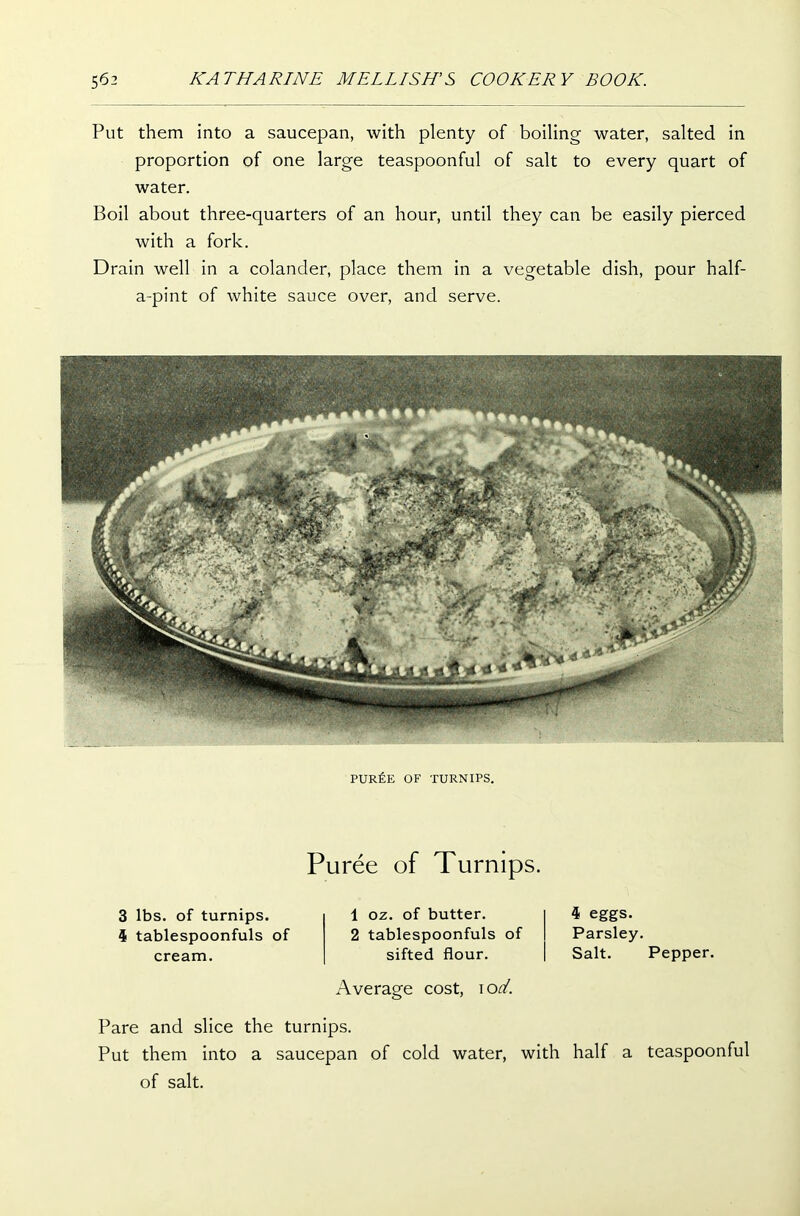 Put them into a saucepan, with plenty of boiling water, salted in proportion of one large teaspoonful of salt to every quart of water. Boil about three-quarters of an hour, until they can be easily pierced with a fork. Drain well in a colander, place them in a vegetable dish, pour half- a-pint of white sauce over, and serve. PUREE OF TURNIPS. Puree of Turnips. 3 lbs. of turnips. 4 tablespoonfuls of cream. 1 oz. of butter. 2 tablespoonfuls of sifted flour. Average cost, i ocl. 4 eggs. Parsley. Salt. Pepper. Pare and slice the turnips. Put them into a saucepan of cold water, with half a teaspoonful of salt.