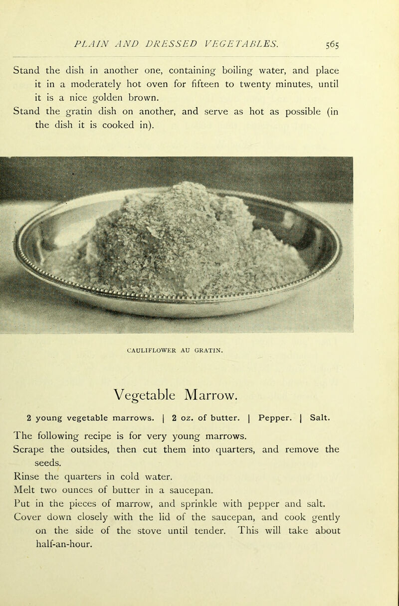 Stand the dish in another one, containing boiling water, and place it in a moderately hot oven for fifteen to twenty minutes, until it is a nice golden brown. Stand the gratin dish on another, and serve as hot as possible (in the dish it is cooked in). CAULIFLOWER AU GRATIN. Vegetable Marrow. 2 young vegetable marrows. | 2 oz. of butter. | Pepper. | Salt. The following recipe is for very young marrows. Scrape the outsides, then cut them into quarters, and remove the seeds. Rinse the quarters in cold water. Melt two ounces of butter in a saucepan. Put in the pieces of marrow, and sprinkle with pepper and salt. Cover down closely with the lid of the saucepan, and cook gently on the side of the stove until tender. This will take about half-an-hour.