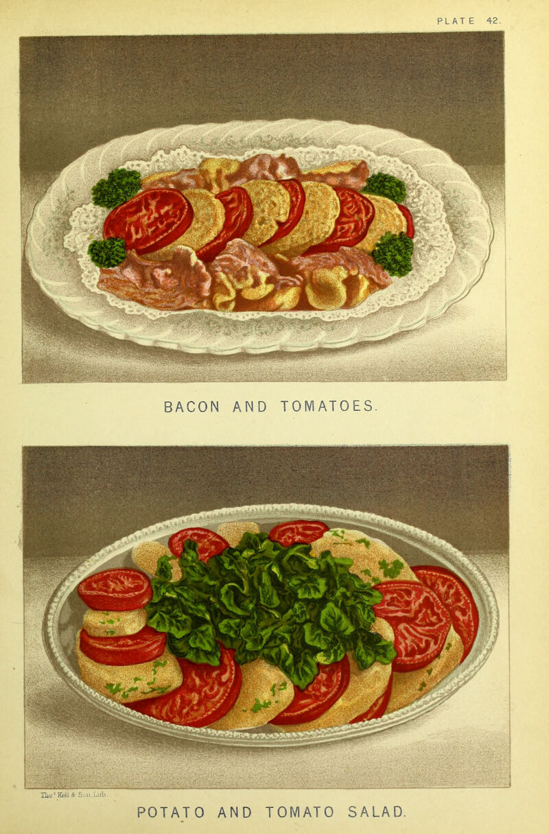 PLATE 42. BACON AND TOMATOES. Tlio * Kell &■ Si.u,Lith POTATO AND TOMATO SALAD