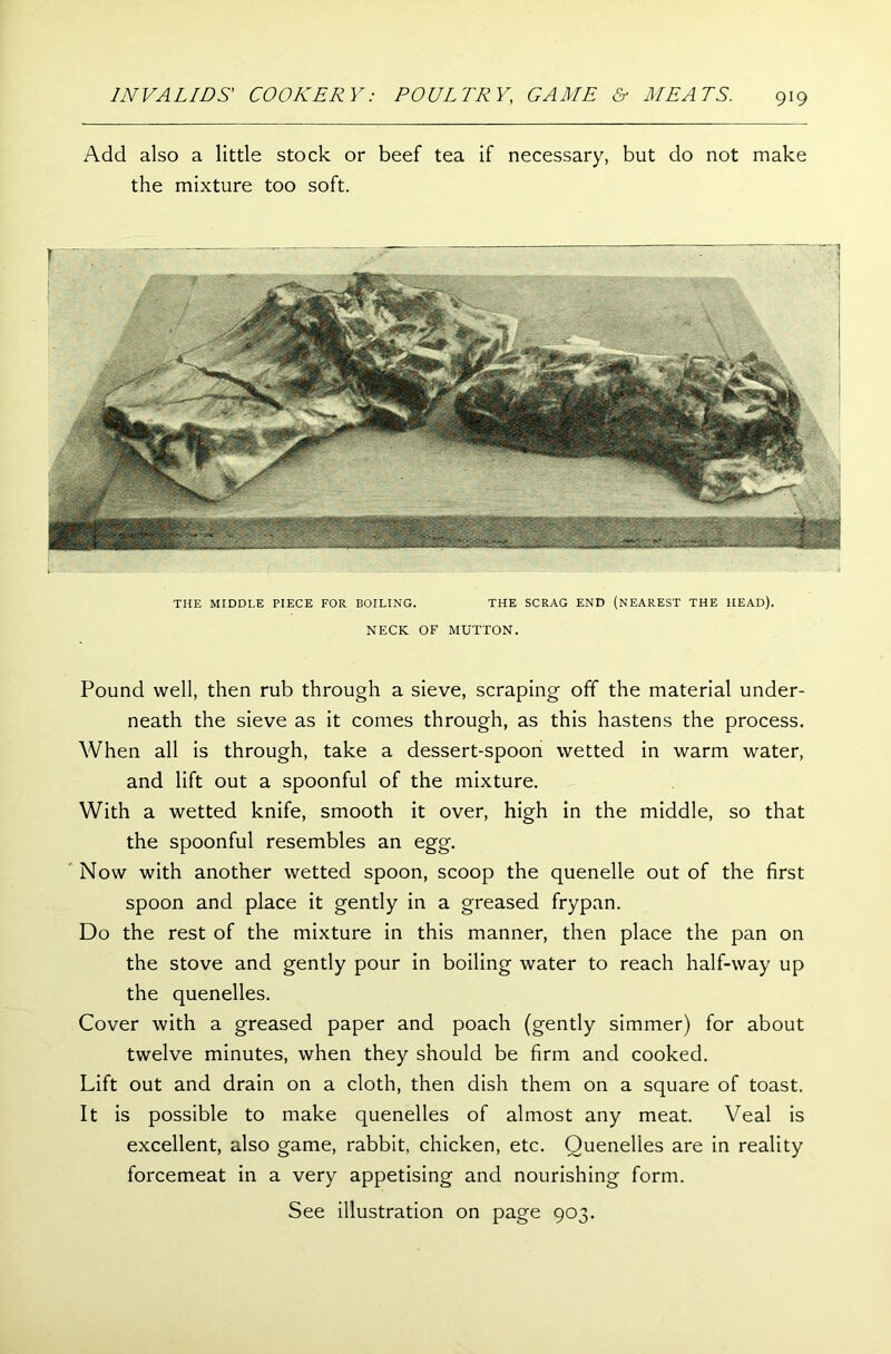 Add also a little stock or beef tea if necessary, but do not make the mixture too soft. THE MIDDLE PIECE FOR BOILING. THE SCRAG END (NEAREST THE HEAD). NECK OF MUTTON. Pound well, then rub through a sieve, scraping off the material under- neath the sieve as it comes through, as this hastens the process. When all is through, take a dessert-spoon wetted in warm water, and lift out a spoonful of the mixture. With a wetted knife, smooth it over, high in the middle, so that the spoonful resembles an egg. Now with another wetted spoon, scoop the quenelle out of the first spoon and place it gently in a greased frypan. Do the rest of the mixture in this manner, then place the pan on the stove and gently pour in boiling water to reach half-way up the quenelles. Cover with a greased paper and poach (gently simmer) for about twelve minutes, when they should be firm and cooked. Lift out and drain on a cloth, then dish them on a square of toast. It is possible to make quenelles of almost any meat. Veal is excellent, also game, rabbit, chicken, etc. Quenelles are in reality forcemeat in a very appetising and nourishing form. See illustration on page 903.