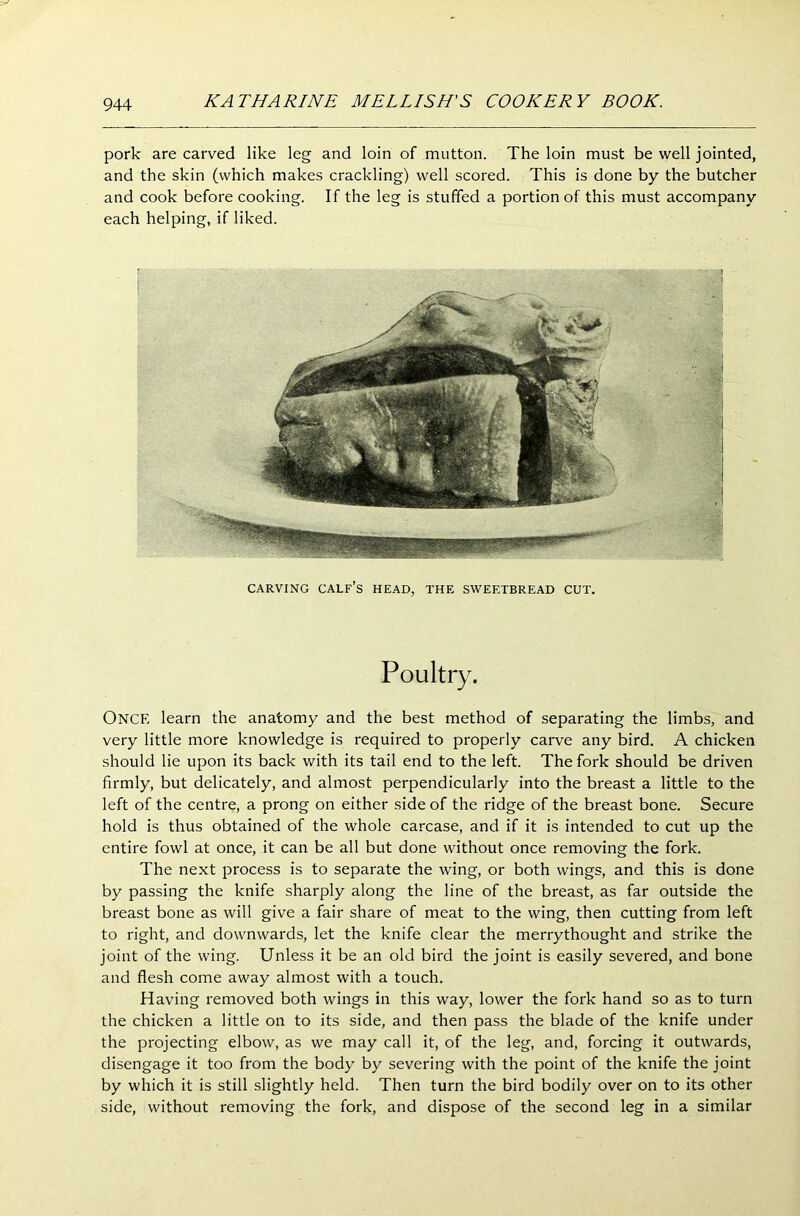 pork are carved like leg and loin of mutton. The loin must be well jointed, and the skin (which makes crackling) well scored. This is done by the butcher and cook before cooking. If the leg is stuffed a portion of this must accompany each helping, if liked. CARVING calf’s HEAD, THE SWEETBREAD CUT. Poultry. Once learn the anatomy and the best method of separating the limbs, and very little more knowledge is required to properly carve any bird. A chicken should lie upon its back with its tail end to the left. The fork should be driven firmly, but delicately, and almost perpendicularly into the breast a little to the left of the centre, a prong on either side of the ridge of the breast bone. Secure hold is thus obtained of the whole carcase, and if it is intended to cut up the entire fowl at once, it can be all but done without once removing the fork. The next process is to separate the wing, or both wings, and this is done by passing the knife sharply along the line of the breast, as far outside the breast bone as will give a fair share of meat to the wing, then cutting from left to right, and downwards, let the knife clear the merrythought and strike the joint of the wing. Unless it be an old bird the joint is easily severed, and bone and flesh come away almost with a touch. Having removed both wings in this way, lower the fork hand so as to turn the chicken a little on to its side, and then pass the blade of the knife under the projecting elbow, as we may call it, of the leg, and, forcing it outwards, disengage it too from the body by severing with the point of the knife the joint by which it is still slightly held. Then turn the bird bodily over on to its other side, without removing the fork, and dispose of the second leg in a similar