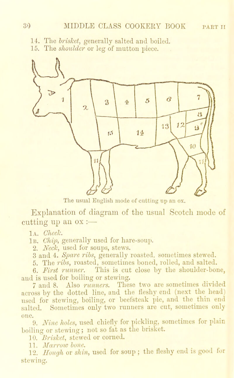 14. The brisket, generally salted and boiled. 15. The shoulder or leg of mutton piece. Explanation of diagram of the usual Scotch mode of cutting up an ox :— la. Check. lb. Chip, generally used for hare-soup. 2. Neck, used for soups, stews. 3 and 4. Spare ribs, generally roasted, sometimes stewed. 5. The ribs, roasted, sometimes boned, rolled, and salted. 6. First runner. This is cut close by the slioulder-bone, and is used for boiling or stewing. 7 and 8. Also runners. These two are sometimes divided across by the dotted line, and the fleshy end (next the head) used for stewing, boiling, or beefsteak pie, and the thin end salted. Sometimes only two runners are cut, sometimes only one. 9. Nine holes, used chiefly for pickling, sometimes for plain boiling or stewing; not so fat as the brisket. 10. Brisket, stewed or corned. 11. Marrowbone. 12. Hough or shin, used for soup ; the fleshy end is good for stewing.