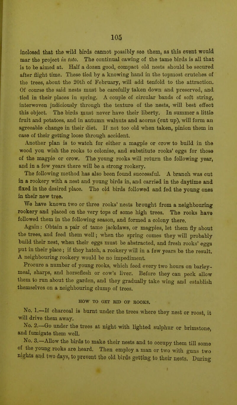 inclosed that the wild birds cannot possibly see them, as this event would mar the project in toto. The continual cawing of the tame birds is all that is to be aimed at. Half a dozen good, compact old nests should be secured after flight timo. These tied by a knowing hand in the topmost crutches of the trees, about the 20th of February, will add tenfold to the attraction. Of course the said nests must be carefully taken down and preserved, and tied in their places in spring. A couple of circular bands of soft string, interwoven judiciously through the texture of the nests, will best effect this object. The birds must never have their liberty. In summer a little fruit and potatoes, and in autumn walnut3 and acorns (cut up), will form an agreeable change in their diet. If not too old when taken, pinion them in case of their getting loose through accident. Another plan is to watch for either a magpie or crow to build in the wood you wish the rooks to colonise, and substitute rooks’ eggs for those of the magpie or crow. The young rooks will return the following year, and in a few years there will bo a strong rookery. The following method ha3 also been found successful. A branch was cut in a rookery with a nest and young birds in, and carried in the daytime and fixed in the desired place. The old birds followed and fed the young ones in their new tree. We have known two or three rooks’ nests brought from a neighbouring rookery and placed on the very tops of some high trees. The rooks have followed them in the following season, and formed a colony there. Again: Obtain a pair of tame jackdaws, or magpies, let them fly about the trees, and feed them well; when the spring comes they will probably build their nest, when their eggs must bo abstracted, and fresh rooks’ eggs put in their place; if they hatch, a rookery will in a fow years be the result. A neighbouring rookery would be no impediment. Procure a number of young rooks, which feed every two houi-3 on barley- meal, sharps, and horseflesh or cow’s liver. Before they can peck allow them to run about the garden, and they gradually take wing and establish themselves on a neighbouring clump of trees. HOW TO GET RID OF ROOKS. 1.—If charcoal is burnt under the trees where they nest or roost, it will drive them away. No. 2.—Go under the trees at night with lighted sulphur or brimstone, and fumigate them well. No. 3.—Allow the birds to make their nests and to occupy them till some of the young rooks are heard. Then employ a man or two with guns two nights and two days, to prevent the old birds getting to their nests. During i