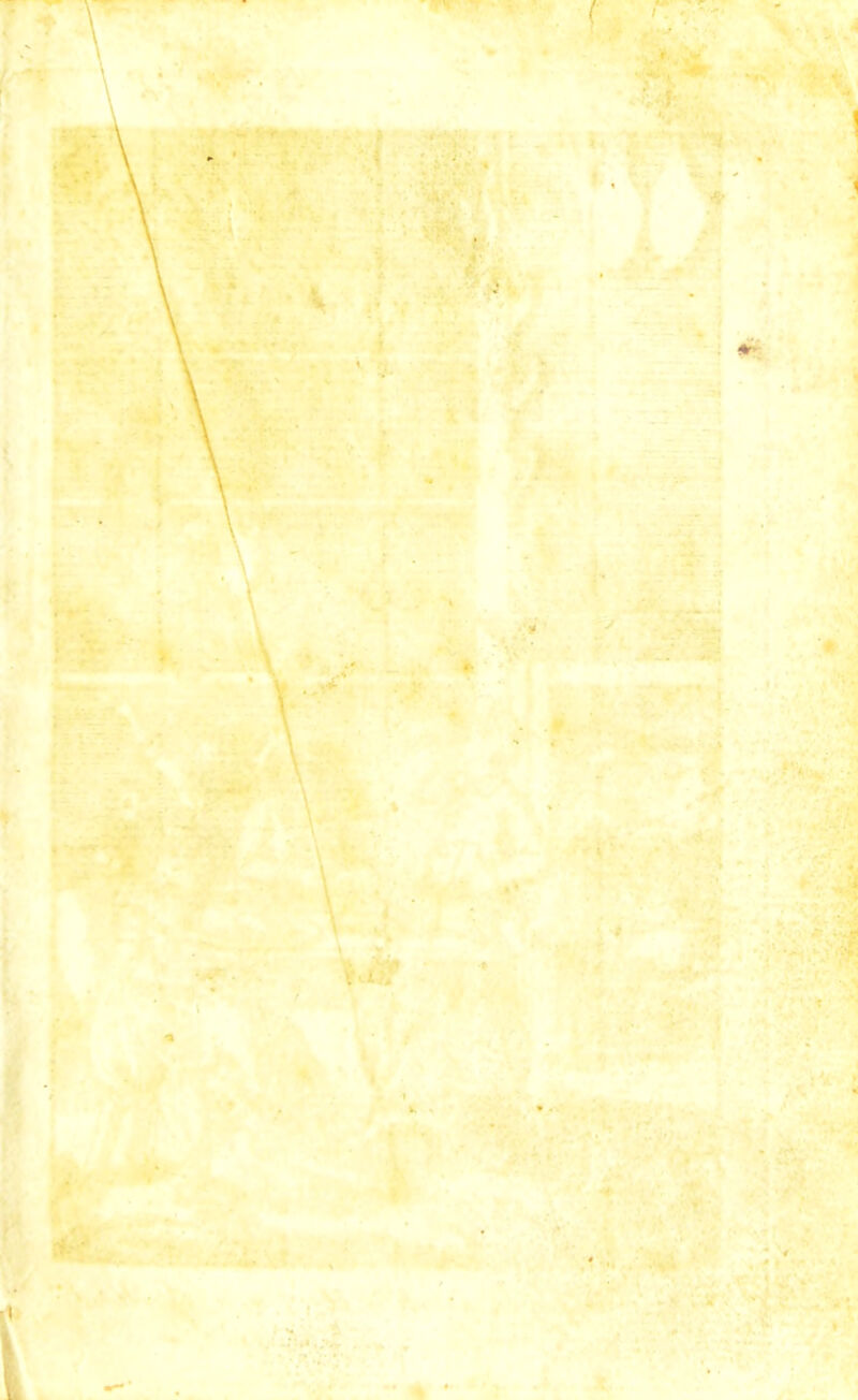 Ci. *•; # • . ••'