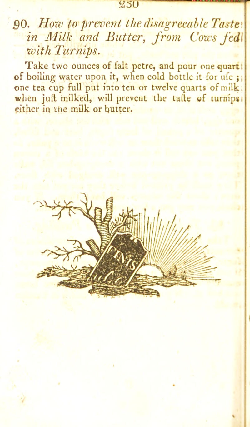90. How to prevent the disagreeable Taste \ in Milk and Butter, from Cows fed\ with Turnips. Take two ounces of fait petre, and pour one quart of boiling water upon it, when cold bottle it for ufe ;; one tea cup full put into ten or twelve quarts of milk when juft milked, will prevent the tafte of turnips; either in the milk or butter.