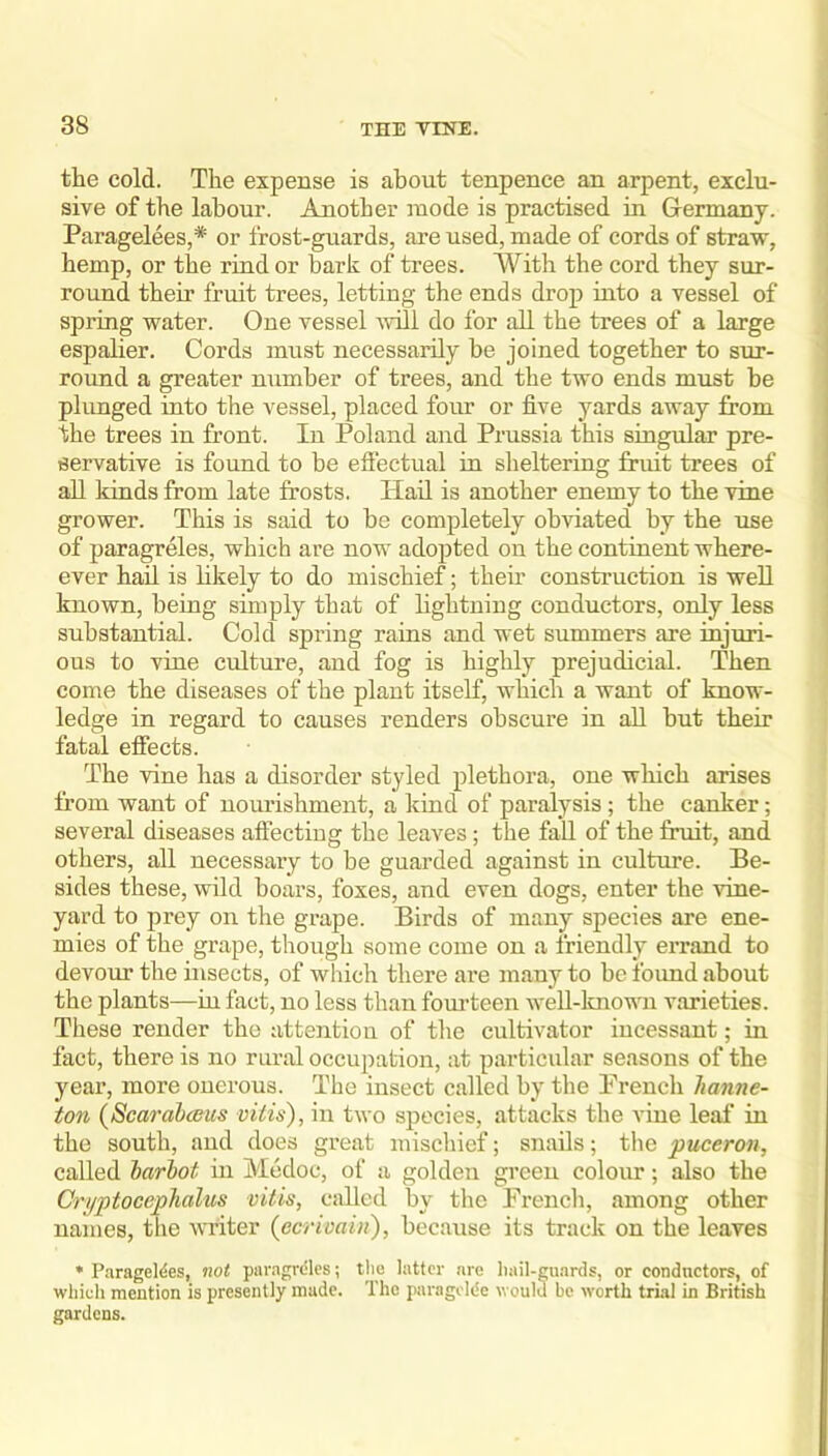 the cold. The expense is about tenpence an arpent, exclu- sive of the labour. Another mode is practised in Germany. Paragelees,* or frost-guards, are used, made of cords of straw, hemp, or the rind or bark of trees. With the cord they sur- round their fruit trees, letting the ends drop into a vessel of spring water. One vessel ^vill do for all the trees of a large espalier. Cords must necessarily be joined together to sur- round a greater number of trees, and the two ends must be plimged into the vessel, placed four or five yards away from the trees in front. In Poland and Prussia this singular pre- servative is found to be effectual in sheltering fruit trees of aU kinds from late frosts. Hail is another enemy to the vine grower. This is said to be completely obviated by the use of paragreles, which are now adopted on the continent where- ever hail is hkely to do mischief; their consti’uction is well known, being simply that of hghtuing conductors, only less substantial. Cold spring rains and wet summers are injmi- ous to vine culture, and fog is highly prejudicial. Then come the diseases of the plant itself, which a want of know- ledge in regard to causes renders obscure in all but their fatal effects. The vine has a disorder styled plethora, one which arises from want of nourishment, a kind of paralysis; the canker; several diseases affecting the leaves; the fall of the fruit, and others, all necessary to be guarded against in culture. Be- sides these, wild boars, foxes, and even dogs, enter the vine- yard to prey on the grape. Birds of many species are ene- mies of the grape, though some come on a friendly errand to devour the insects, of which there are many to be foimd about the plants—in fact, no less than foimteen well-lsnown varieties. Tliese render the attention of the cultivator incessant; in fact, there is no rural occupation, at particular seasons of the year, more onerous. The insect called by the Prench lianne- ton {Bcarah(Bus mils), in two species, attacks the vine leaf in the south, and does great mischief; snails; the puceron, called harlot in Medoc, of a golden green colour; also the Cryptocephalus vitis, called by the Prencli, among other names, the ^\Titer {ecrioain), because its track on the leaves * Paragel^es, not paragrdles; tlio latter are hail-guards, or conductors, of which mention is presently made. The paragoliie would be worth trial in British gardens.