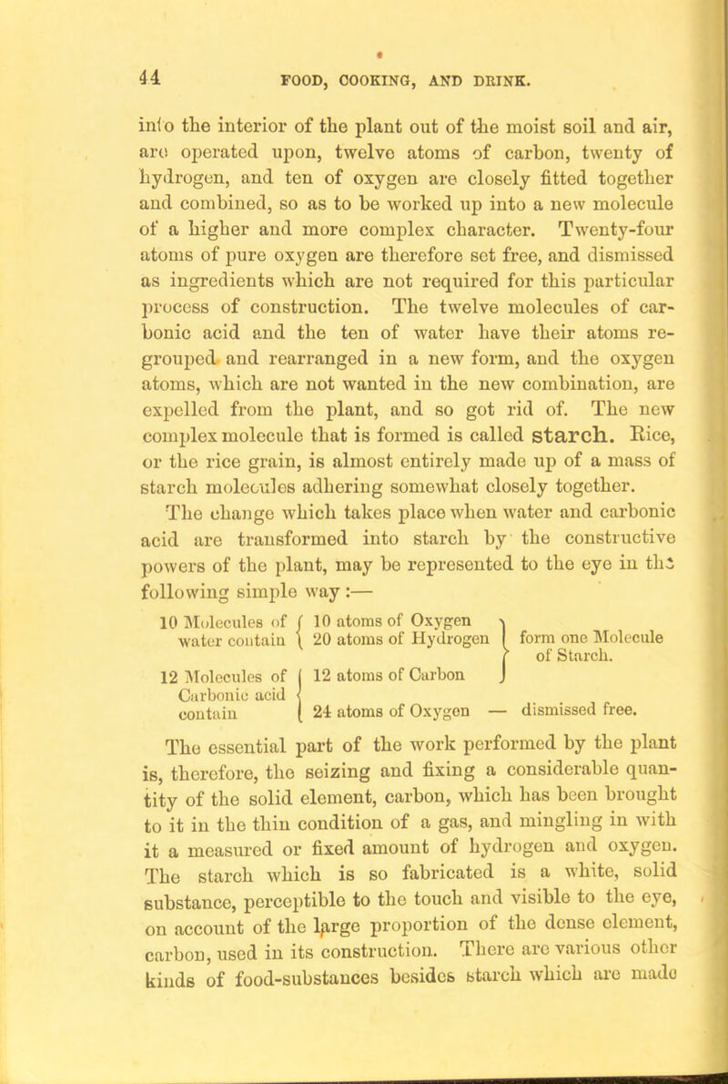 ini o the interior of the plant out of the moist soil and air, are operated upon, twelve atoms of carbon, twenty of hydrogen, and ten of oxygen are closely fitted together and combined, so as to be worked up into a new molecule of a higher and more complex character. Twenty-four atoms of pure oxygen are therefore set free, and dismissed as ingredients which are not required for this particular process of construction. The twelve molecules of car- bonic acid and the ten of water have their atoms re- grouped, and rearranged in a new form, and the oxygen atoms, which are not wanted in the new combination, are expelled from the plant, and so got rid of. The new complex molecule that is formed is called starch. Rice, or the rice grain, is almost entirely made up of a mass of starch molecules adhering somewhat closely together. The change which takes place when water and carbonic acid are transformed into starch by the constructive powers of the plant, may be represented to the eye in thi following simple way :— 10 Molecules of f 10 atoms of Oxygen ^ water coiitaiu \ 20 atoms of Hydrogen I form one Molecule r of Starch. 12 Molecules of I 12 atoms of Carbon J Carbonic acid < contain [ 24 atoms of Oxygon — dismissed free. The essential part of the work performed by the plant is, therefore, the seizing and fixing a considerable quan- tity of the solid element, carbon, which has been brought to it in the thin condition of a gas, and mingling in with it a measured or fixed amount of hydrogen and oxygen. The starch which is so fabricated is a white, solid substance, perceptible to the touch and visible to the eye, on account of the lp.rge proportion of the dense element, carbon, used in its construction. There are various other kinds of food-substances besides starch which ai-e made