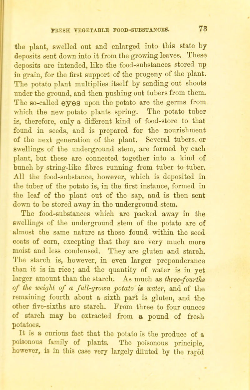 tha plant, swelled out and enlarged into tliis state by deposits sent down into it from the growing leaves. These deposits are intended, like the food-substances stored up in grain, for the first support of the progeny of the plant. The potato plant multiplies itself by sending out shoots under the ground, and then pushing out tubers from them. The so-called eyes upon the potato are the germs from which the new potato plants spring. The potato tuber is, therefore, only a difierent kind of foocl-atore to tliat found in seeds, and is prepared for the nourishment of the nest generation of the plant. Several tubers, or swellings of the underground stem, are formed by each plant, but these are connected together into a kind of bunch by string-like fibres running from tuber to tuber. All the food-substance, however, which is deposited in the tuber of the potato is, in the first instance, formed in the leaf of the plant out of the sap, and is then sent down to be stored away in the underground stem. The food-substances which are packed away in the swellings of the underground stem of the potato are of almost the same nature as those found within the seed coats of com, excepting that they are very much more moist and less condensed. They are gluten and starch. The starch is, however, in even larger preponderance than it is in rice; and the quantity of water is in yet larger amount than the starch. As much as three-fourths of the weight of a full-grown potato is water, and of the remaining fourth about a sixth part is gluten, and the other five-sixths are starch. From three to four ounces of starch may be extracted from a pound of fresh potatoes. It is a curious fact that the potato is the produce of a poisonous family of plants. The poisonous principle, however, is in this case very largely diluted by the rapid