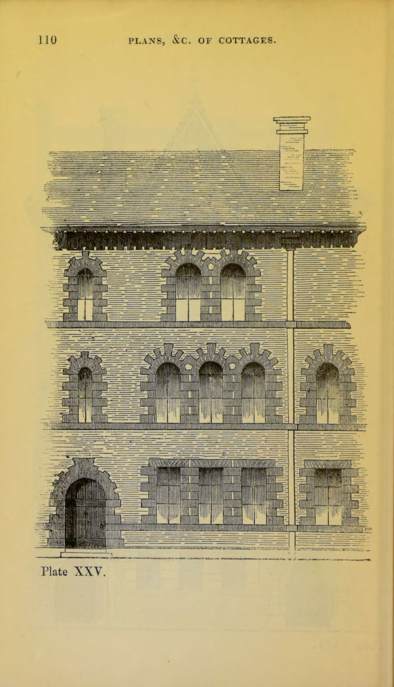 Plate XXV.
