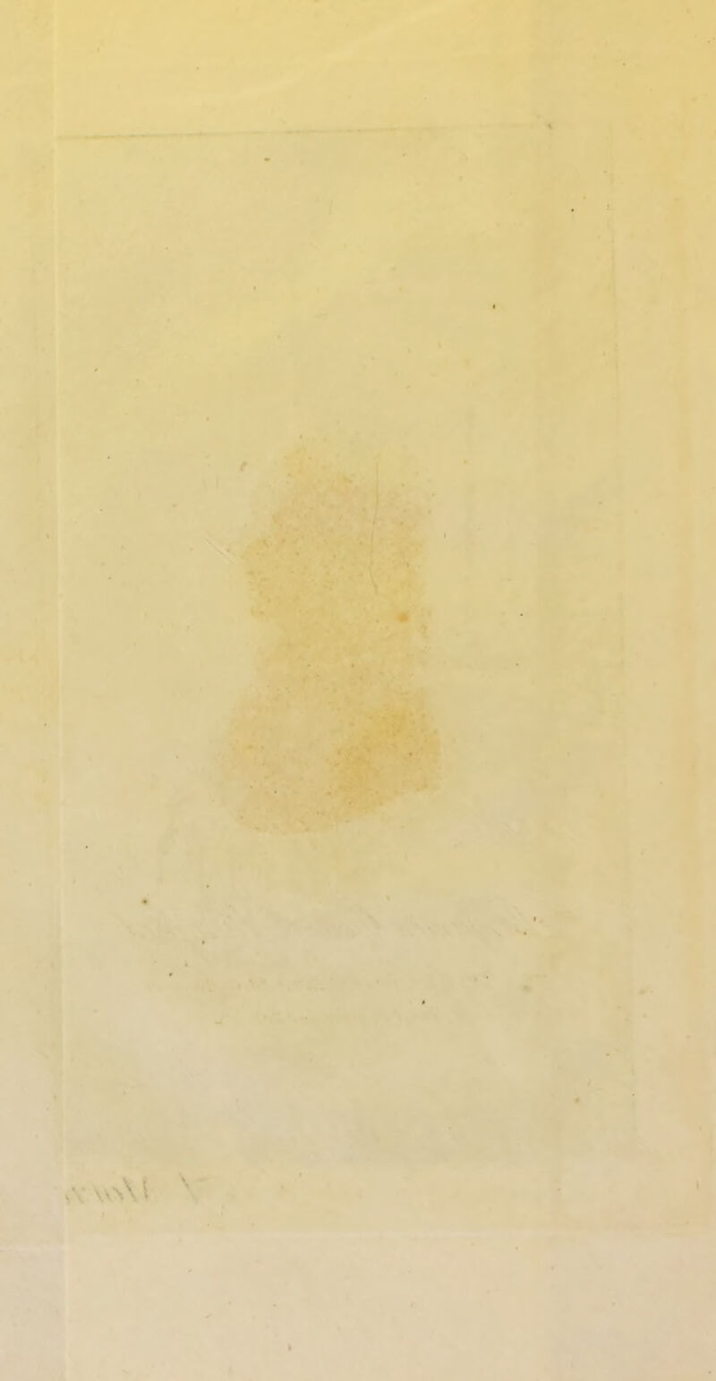 . * ^ ■ \ I t f A*\vnM I ‘ •