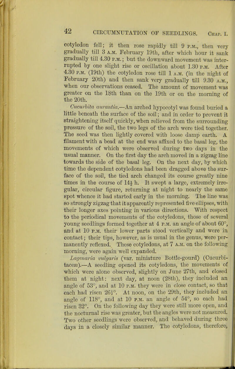 cotyledon fell; it then rose rapidly till 9 p.m., then very gradually till 3 a.m. February 19th, after which hour it sank gradually till 4.30 p.m. ; but the downward movement was inter- rupted by one slight rise or oscillation about 1.30 p.m. After 4.30 p.m. (19th) the cotyledon rose till 1 a.m. (in the night of February 20th) and then sank very gradually till 9.30 a.m., when our observations ceased. The amount of movement was greater on the 18th than on the 19th or on the morning of the 20th. CucurUta aurantia.—An arched hypocotyl was found buried a little beneath the surface of the soil; and in order to prevent it straightening itself quickly, when relieved from the surrounding pressure of the soil, the two legs of the arch were tied together. The seed was then lightly covered with loose damp earth. A filament with a bead at the end was affixed to the basal leg, the movements of which were observed during two days in the usual manner. On the first day the arch moved in a zigzag line towards the side of the basal leg. On the next day, by which time the dependent cotyledons had been dragged above the sur- face of the soil, the tied arch changed its coui'se greatly nine times in the course of 14j h. It swept a large, extremely irre- gular, circular figure, returning at night to nearly the same spot whence it had started early in the morning. The line was so strongly zigzag that it apparently represented five ellipses, with their longer axes pointing in various directions. With respect to the periodical movements of the cotyledons, those of several young seedlings formed together at 4 p.m. an angle of about 60°, and at 10 p.m. their lower parts stood vertically and were in contact; their tips, however, as is usual in the genus, were per- manently reflexed. These cotyledons, at 7 a.m. on the following morning, were again well expanded. Lagenaria vulgaris (var. miniature Bottle-gourd) (Cucurbi- tacese).—A seedling opened its cotyledons, the movements of which were alone observed, shghtly on June 27th, and closed them at night: next day, at noon (28th), they included an angle of 53°, and at 10 p.m. they were in close contact, so that each had risen 26i°. At noon, on the 29th, they included an angle of 118°, and at 10 p.m. an angle of 54°, so each had risen 32°. On the following day they were still more open, and the nocturnal rise was greater, but the angles were not measured. Two other seedlings were observed, and behaved during three days in a closely similar manner. The cotj'ledous, thereforei