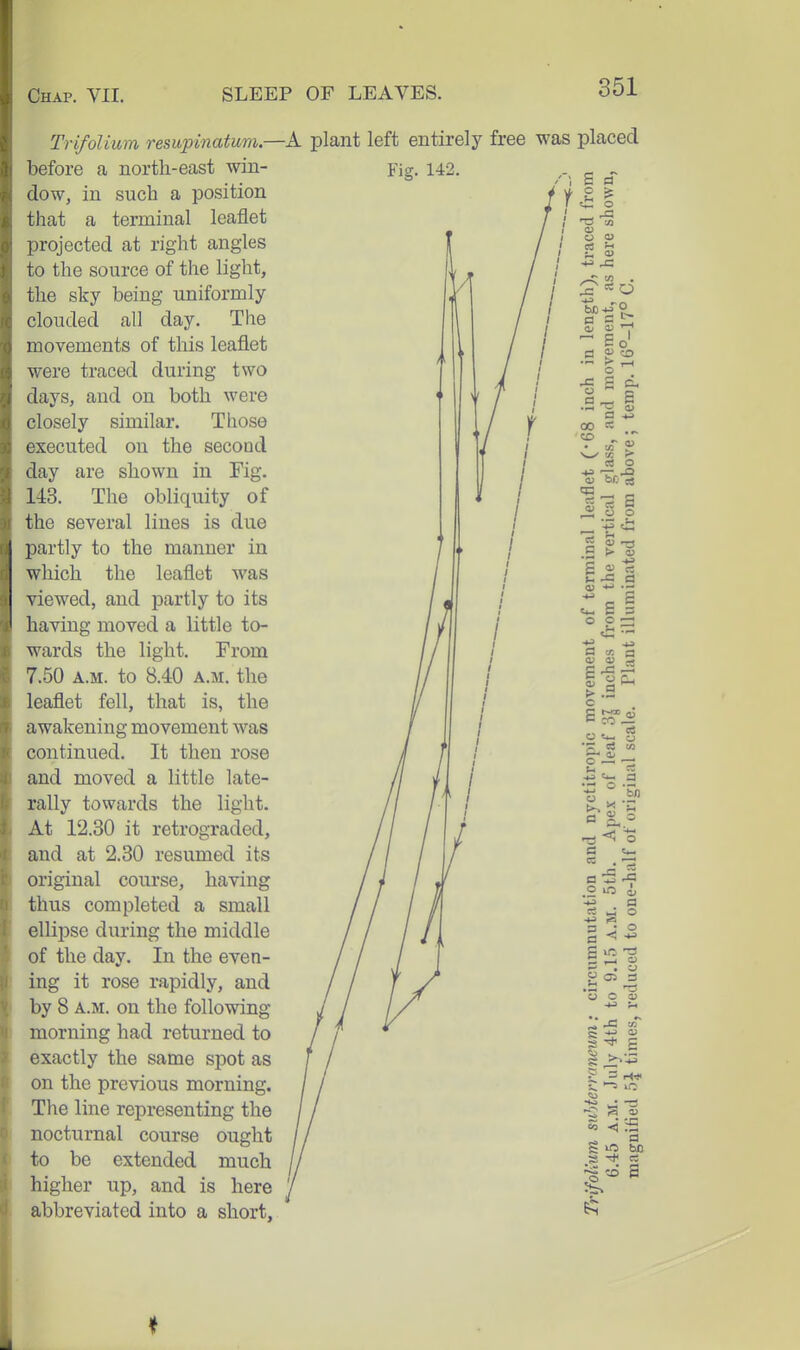 Trifolium resupinatum- before a north-east win- dow, in such a position that a terminal leaflet projected at right angles to the source of the light, the sky being uniformly clouded all day. The movements of this leaflet were traced during two days, and on both were closely similar. Those executed on the second day are shown in Fig. 143. The obliquity of the several lines is due partly to the manner in which the leaflet was viewed, and partly to its having moved a little to- wards the light. From 7.50 A.M. to 8.40 A.M. the leaflet fell, that is, the awakening movement was continued. It then rose and moved a little late- rally towards the light. At 12.30 it retrograded, and at 2.30 resumed its original course, having thus completed a small ellipse during the middle of the day. In the even- ing it rose rapidly, and by 8 A.M. on the following morning had returned to exactly the same spot as on the previous morning. The line representing the nocturnal course ought to be extended much higher up, and is here abbreviated into a short. -A plant left entirely free was placed ♦