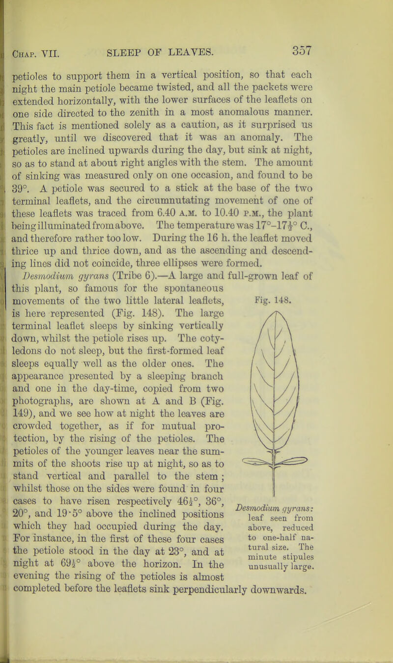 Fig. 148. petioles to support them in a vertical position, so that each night the main petiole became twisted, and all the packets were extended horizontally, with the lower surfaces of the leaflets on one side directed to the zenith in a most anomalous manner. This fact is mentioned solely as a caution, as it surprised us greatly, until we discovered that it was an anomaly. The petioles are inclined upwards during the day, but sink at night, so as to stand at about right angles with the stem. The amount of sinking was measured only on one occasion, and found to be 39°. A petiole was secured to a stick at the base of the two terminal leaflets, and the circumnutating movement of one of these leaflets was traced from 6.40 a.m. to 10.40 p.m., the plant being illuminated from above. The temperature was 17°-17^° C, and therefore rather too low. During the 16 h. the leaflet moved thrice up and thrice down, and as the ascending and descend- ing lines did not coincide, three ellipses were formed. Desmodium gyrans (Tribe 6).—A large and full-grown leaf of this plant, so famous for the spontaneous movements of the two little lateral leaflets, is here represented (Fig. 148). The large terminal leaflet sleeps by sinking vertically down, whilst the petiole rises up. The coty- ledons do not sleep, but the first-formed leaf sleeps equally well as the older ones. The appearance presented by a sleeping branch and one in the day-time, copied from two photographs, are shown at A and B (Fig. 149), and we see how at night the leaves are crowded together, as if for mutual pro- tection, by the rising of the petioles. The petioles of the younger leaves near the sum- mits of the shoots rise up at night, so as to ^ stand vertical and parallel to the stem; whilst those on the sides were found in four cases to have risen respectively 465°, 36°, 20°, and 19-5° above the inclined positions which they had occupied during the day. For instance, in the first of these four cases the petiole stood in the day at 23°, and at night at 69i° above the horizon, in the evening the rising of the petioles is almost completed before the leaflets sink perpendicularly downwards. Desmodium gyrans: leaf seen from above, reduced to one-half na- tural size. The minute stipules unusually large.