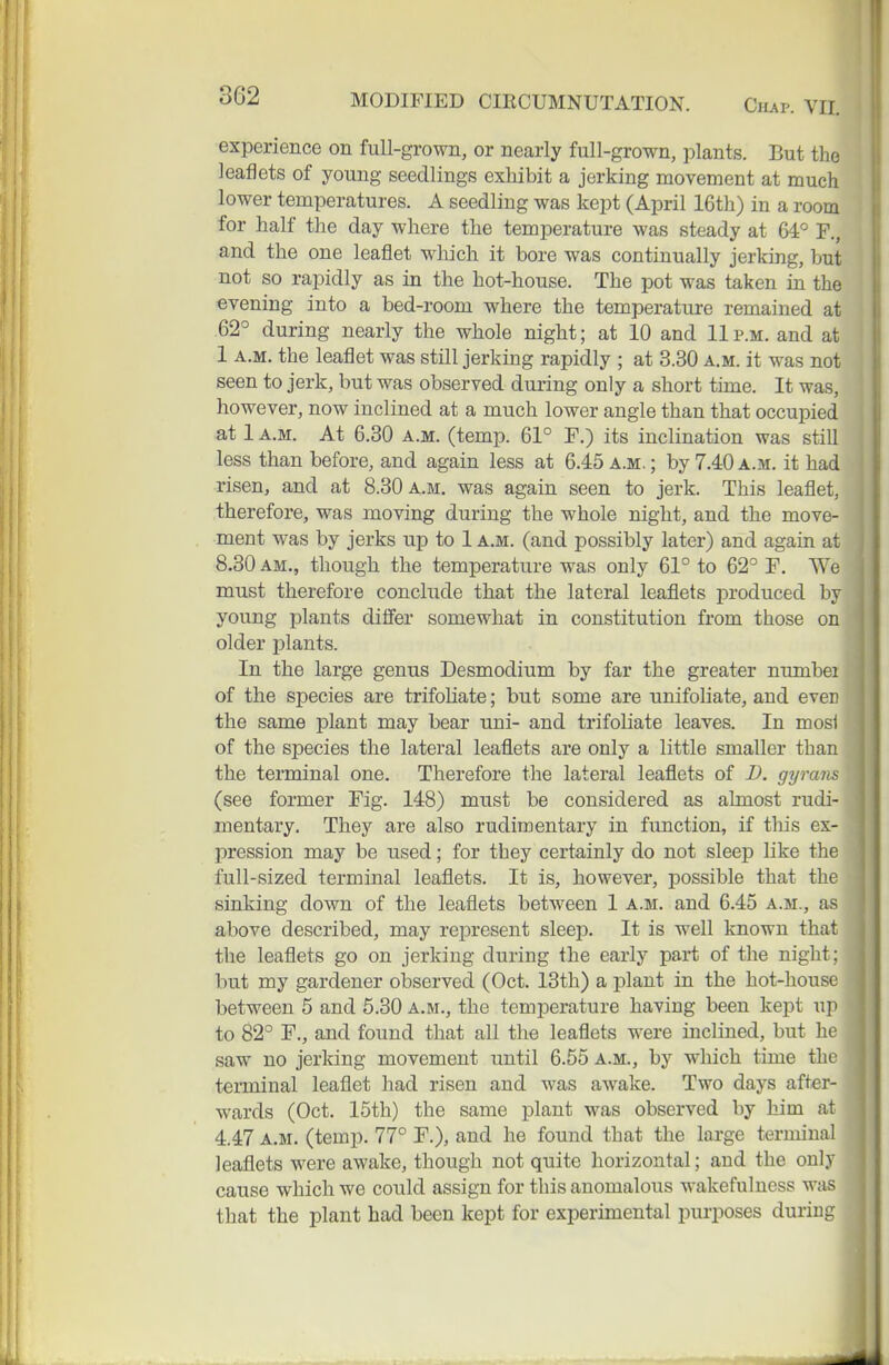 experience on full-grown, or nearly full-grown, plants. But the leaflets of young seedlings exhibit a jerking movement at much lower temperatures. A seedling was kept (April 16th) in a room for half the day where the temperature was steady at 64° F., and the one leaflet which it bore was continually jerking, but not so rapidly as in the hot-house. The pot was taken in the evening into a bed-room where the temperature remained at .62° during nearly the whole night; at 10 and 11p.m. and at 1 A.M. the leaflet was still jerking rapidly ; at 3.30 a.m. it was not seen to jerk, but was observed during only a short time. It was, however, now inclined at a much lower angle than that occupied at 1 a.m. At 6.30 a.m. (temp. 61° F.) its inclination was still less than before, and again less at 6.45 a.m.; by 7.40 a.m. it had risen, and at 8.30 a.m. was again seen to jerk. This leaflet, therefore, was moving during the whole night, and the move- ment was by jerks up to 1 a.m. (and possibly later) and again at 8.30 AM., though the temperature was only 61° to 62° F. We must therefore conclude that the lateral leaflets produced by young plants dilfer somewhat in constitution from those on older plants. In the large genus Desmodium by far the greater numbei of the species are trifohate; but some are unifoliate, and even the same plant may bear uni- and trifoliate leaves. In mosi of the species the lateral leaflets are only a little smaller than the terminal one. Therefore the lateral leaflets of D. gyrans (see former Fig. 148) must be considered as almost rudi- mentary. They are also rudimentary in function, if this ex- pression may be used; for they certainly do not sleep like the full-sized terminal leaflets. It is, however, possible that the sinking down of the leaflets between 1 A.M. and 6.45 a.m., as above described, may represent sleep. It is well known that the leaflets go on jerking during the early part of the night: but my gardener observed (Oct. 13th) a plant in the hot-house between 5 and 5.30 a.m., the temperature having been kept u]t to 82° F., and found that all the leaflets were inclined, but ]\v saw no jerking movement until 6.55 a.m., by which time the terminal leaflet had risen and was awake. Two days after- wards (Oct. 15th) the same plant was observed by him at 4.47 a.m. (temp. 77° F.), and he found that the large terminal leaflets were awake, though not quite horizontal; and the only cause which we could assign for this anomalous wakefulness was that the plant had been kept for experimental purposes duriug