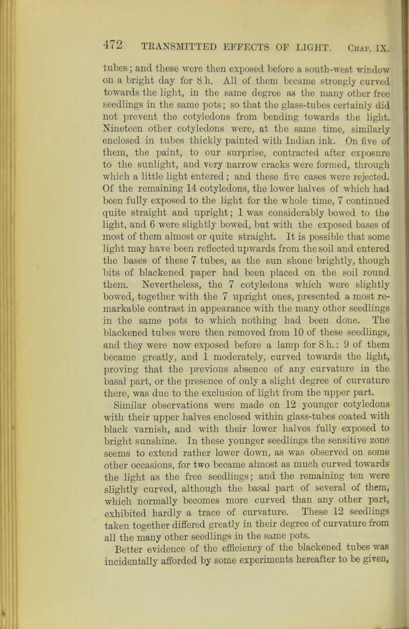tubes; and these were then exposed before a south-west window on a bright day for 8 h. All of them became strongly curved towards the light, in the same degree as the many other free seedlings in the same pots; so that the glass-tubes certainly did not prevent the cotyledons from bending towards the light. Nineteen other cotyledons were, at the same time, similarly enclosed in tubes thickly painted with Indian ink. On five of them, the paint, to our surprise, contracted after exposure to the sunlight, and very narrow cracks were formed, through which a little light entered; and these five cases were rejected. Of the remaining 14 cotyledons, the lower halves of which had been fully exposed to the light for the whole time, 7 continued quite straight and upright; 1 was considerably bowed to the light, and 6 were slightly bowed, but with the exposed bases of most of them almost or quite straight. It is possible that some light may have been reflected upwards from the soil and entered the bases of these 7 tubes, as the sun shone brightly, though bits of blackened paper had been placed on the soil round them. Nevertheless, the 7 cotyledons which were slightly bowed, together with the 7 upright ones, presented a most re- markable contrast in appearance with the maoy other seedlings in the same pots to which nothing had been done. The blackened tubes were then removed from 10 of these seedlings, and they were now exposed before a lamp for 8 h.: 9 of them became greatly, and 1 moderately, curved towards the light, proving that the previous absence of any curvatm-e in the basal part, or the presence of only a slight degree of curvature there, was due to the exclusion of light from the iipper part. Similar observations were made on 12 younger cotyledons with their upper halves enclosed within glass-tubes coated with black varnish, and with their lower halves fully exposed to bright sunshine. In these younger seedlings the sensitive zone seems to extend rather lower down, as was observed on some other occasions, for two became almost as much curved towards the light as the free seedlings; and the remaining ten were slightly curved, although the basal part of several of them, which normally becomes more curved than any other part, exhibited hardly a trace of curvature. These 12 seedlings taken together differed greatly in their degree of curvature from all the many other seedlings in the same pots. Better evidence of the efficiency of the blackened tubes was incidentally afforded by some experiments hereafter to be giTen,