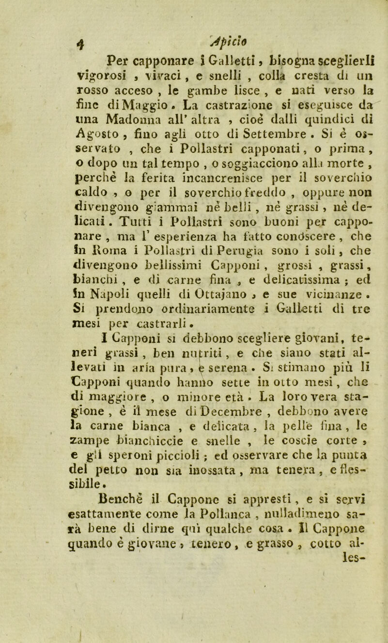 Per capponare i Galletti 9 bisogna sceglierli vigorosi 3 vivaci, e snelli , colla cresta di un rosso acceso , le gambe lisce , e nati verso la fine di Maggio. La castrazione si eseguisce da lina Madonna ali’ altra > cioè dalli quindici di Agosto , fino agli otto di Settembre . Si è os- servato , che i Pollastri capponati, o prima, o dopo un tal tempo , o soggiacciono alla morte , perchè la ferita incancrenisce per il soverchio caldo , o per il soverchio freddo , oppure non divengono giammai nè belli , né grassi , nè de- licati . Tutti i Pollastri sono buoni per cappo- nare , ma I’ esperienza ha fatto conóscere, che In Roma i Pollastri di Perugia sono i soli, che divengono bellissimi Capponi , grossi , grassi, bianchi , e di carne fina , e delicatissima ; ed In Napoli quelli di Ottajano j e sue vicinanze . Si prendono ordinariamente i Galletti di tre mesi per castrarli. I Capponi si debbono scegliere giovani, te- neri grassi , ben nutriti, e che siano stati al- levati in aria pura » e serena . Si stimano più li Capponi quando hanno sette in otto mesi, che di maggiore , o minore età . La loro vera sta- gione , è il mese dì Decembre , debbono avere la carne bianca , e delicata , la pelle fina , le zampe bianchiccie e snelle , le coscie corte 5 e gli speroni piccioli ; ed osservare che la punta dei petto non sia inossata , ma tenera, e fles- sibile . Benché il Cappone si appresti, e si servi esattamente come la Pollanca , nuHadimeno sa- rà bene di dirne qui qualche cosa • Il Cappone quando è giovane ? tenero , e grasso , cotto al- les-