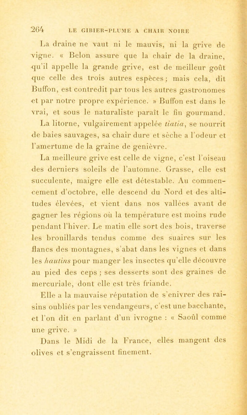 La draine ne vaut ni le mauvis, ni la grive de vigne. « Belon assure que la chair de la draine, •qu’il appelle la grande grive, est de meilleur goût que celle des trois autres espèces; mais cela, dit Bnflon, est contredit par tous les autres gastronomes et par notre propre expérience. » Buffon est dans le vrai, et sous le naturaliste paraît le fin gourmand. La litorne, vulgairement appelée tiatia, se nourrit de baies sauvages, sa chair dure et sèche a l’odeur et l’amertume de la graine de genièvre. La meilleure grive est celle de vigne, c’est l’oiseau des derniers soleils de l’automne. Grasse, elle est succulente, maigre elle est détestable. Au commen- cement d’octobre, elle descend du Nord et des alti- tudes élevées, et vient dans nos vallées avant de gagner les régions où la température est moins rude pendant l’hiver. Le matin elle sort des bois, traverse les brouillards tendus comme des suaires sur les flancs des montagnes, s’abat dans les vignes et dans les hautins pour manger les insectes qu’elle découvre au pied des ceps ; ses desserts sont des graines de mercuriale, dont elle est très friande. Elle a la mauvaise réputation de s’enivrer des rai- sins oubliés par les vendangeurs, c'est une bacchante, et l’on dit en parlant d’un ivrogne : « Saoul comme une grive. » Dans le Midi de la France, elles mangent des olives et s’engraissent finement.