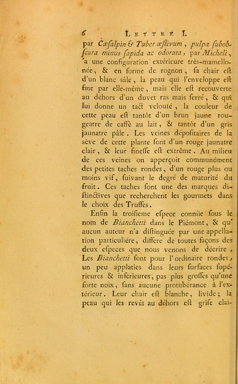 par CœÇalpïn & Tuber œjlivum , pulpa fubob- [cura minus fapida ac odorata, par Micheli, 'a une configuration extérieure très-mamello- née, & en forme de rognon , fa chair eft d'un blanc sale , la peau qui l'enveloppe eft fine par elle-même, mais elle eft recouverte au dehors d’un duvet ras mais ferré , & qui lui donne un ta6b velouté , la couleur de cette peau eft tantôt d’un brun jaune rou- geâtre de cafte au lait, & tantôt d’un gris jaunâtre pâle . Les veines dépofitaires de la sève de cette plante font d’un rouge jaunâtre clair , & leur finefle eft extrême . Au milieu de ces veines on apperçoit communément des petites taches rondes, d’un rouge plus ou moins vif, fuivant le degré de maturité du fruit. Ces taches font une des marques di- ftin&ives que recherchent les gourmets dans le choix desTruftès. Enfin la troifieme efpece conniie fous le nom de Bianchetti dans le Piémont, & qu' aucun auteur n’a diftinguée par une appella- tion particulière, diffère de toutes façons des deux efpeces que nous venons de décrire . Les Bianchettï font pour l’ordinaire rondes,, un peu applaties dans leurs furfaces fupé- rieures & inférieures, pas plus grofles qu’une forte noix, fans aucune protubérance à l’ex- térieur. Leur chair eft blanche, livide; la peau qui les revêt au dehors eft grife clai-