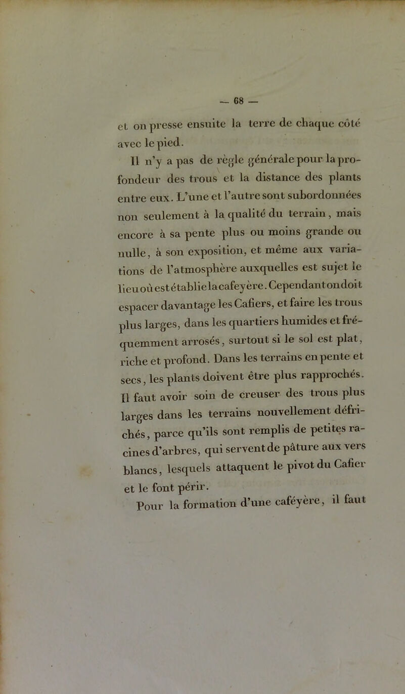 et on presse ensuite la terre de chaque cote avec lepied. 11 n’y a pas de refjle g^ndi’ale pour lapro- fondeur des trous et la distance des plants entre eux. L’une et Tautre sont subordonnees non seuleraent a la quality du terrain , mais encore a sa pente plus on moins grande on unlle, a son exposition, et meme aux varia- tions de Tatmosphere auxquelles est sujet le lieuouestetablielacafeyere.Cependantondoit espacer davantage les Cafiers, et faire les trous plus larges, dans les quartiers humides et fre- queinment arros^s, surtout si le sol est plat, riclie et profond. Dans les terrains en pente et secs, les plants doivent etre plus rapprocbes. II faut avoir soin de creuser des trous plus larges dans les terrains nouvellement defri- cbes, parce qu’ils sont remplis de petites ra- cines d’arbres, qui serventde p^ture aux vers blancs, lesquels attaquent le pivot du Cafier et le font perir. Pour la formation d’une cafeyere, il faut