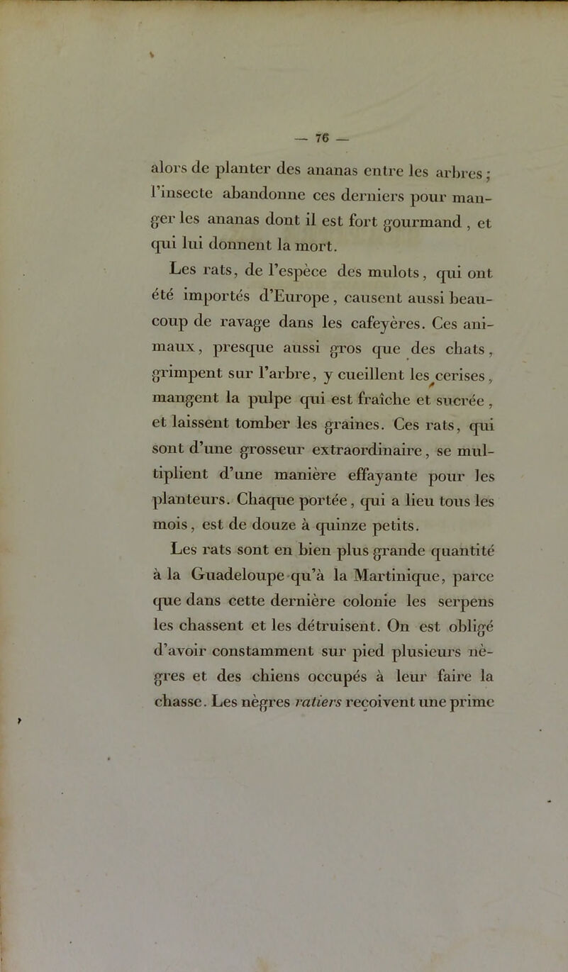 V — 76 — alors de planter des ananas cntre les arhres; rinsecte abandonne ces dernicrs pour man- ger les ananas dont il est fort gourmand , et c[ui lui donnent la mort. Les rats, de I’espece des mulots, qui out ^te importes d’Europe , causent aussi beau- coup de ravage dans les cafeyeres. Ces ani- maux, presque aussi gros que des chats, grimpent sur I’arbre, y cueillent les^cerises, mangent la pulpe cjui est fraiche et sucree , et laissent tomber les graines. Ces rats, qui sont d’une grosseur extraordinaire, se mul- tiplient d’une maniere effayante pour les planteurs. Cliaque portee, qui a lieu tons les mois, est de douze a quinze petits. Les rats sont en bien plus grande qiiantite a la Guadeloupe-qu’a la Martinique, parce que dans cette derniere colonie les serpens les chassent et les detruisent. On est oblige d’avoir constamment sur pied plusieurs ne- gres et des cbiens occupes a leur faire la cbasse. Les negres l atiers recoivent une prime