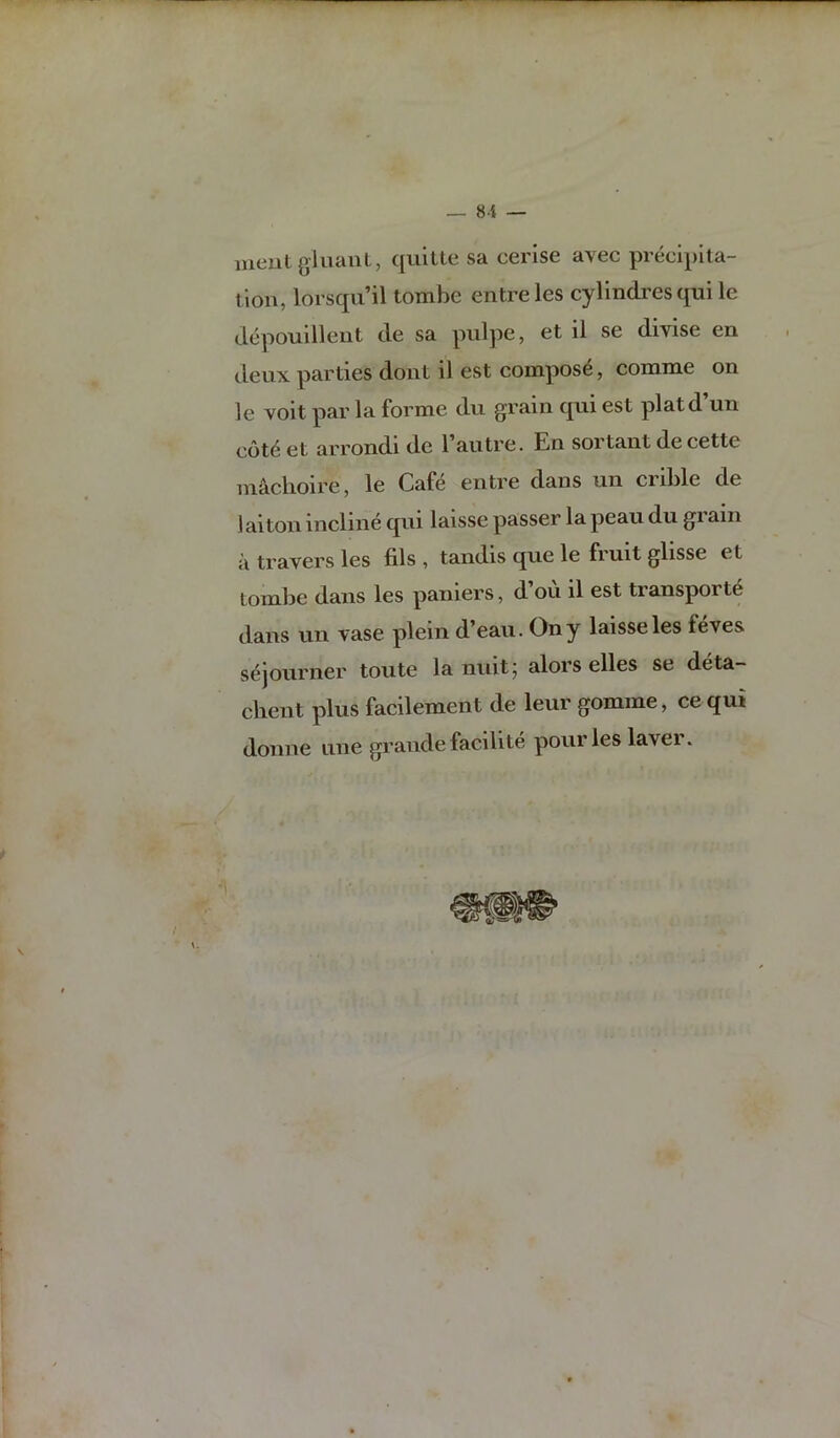 _ 8i — meutgliuinl, quitte sa cerise avec precipita- tion, lorsqu’il tombe entreles cylindi'es qui le depouillent de sa pulpe, et il se divise en deux parties dont il est compost, comme on le voit par la forme du grain qui est platd’un cot^ et arrondi de I’autre. En sortant de cette niaclioire, le Caft^ entre dans un crdile de laiton incline qni laisse passer la peau du gi ain a travel’s les fils, tandis que le fruit glisse et tombe dans les panlers, d’ou il est transporte dans un vase plein d’eau. Ony laisse les feves sejourner toute la nuit; alors elles se deta- client plus facilement de leur gomme, cequi donne une grande facilite pour les laver.