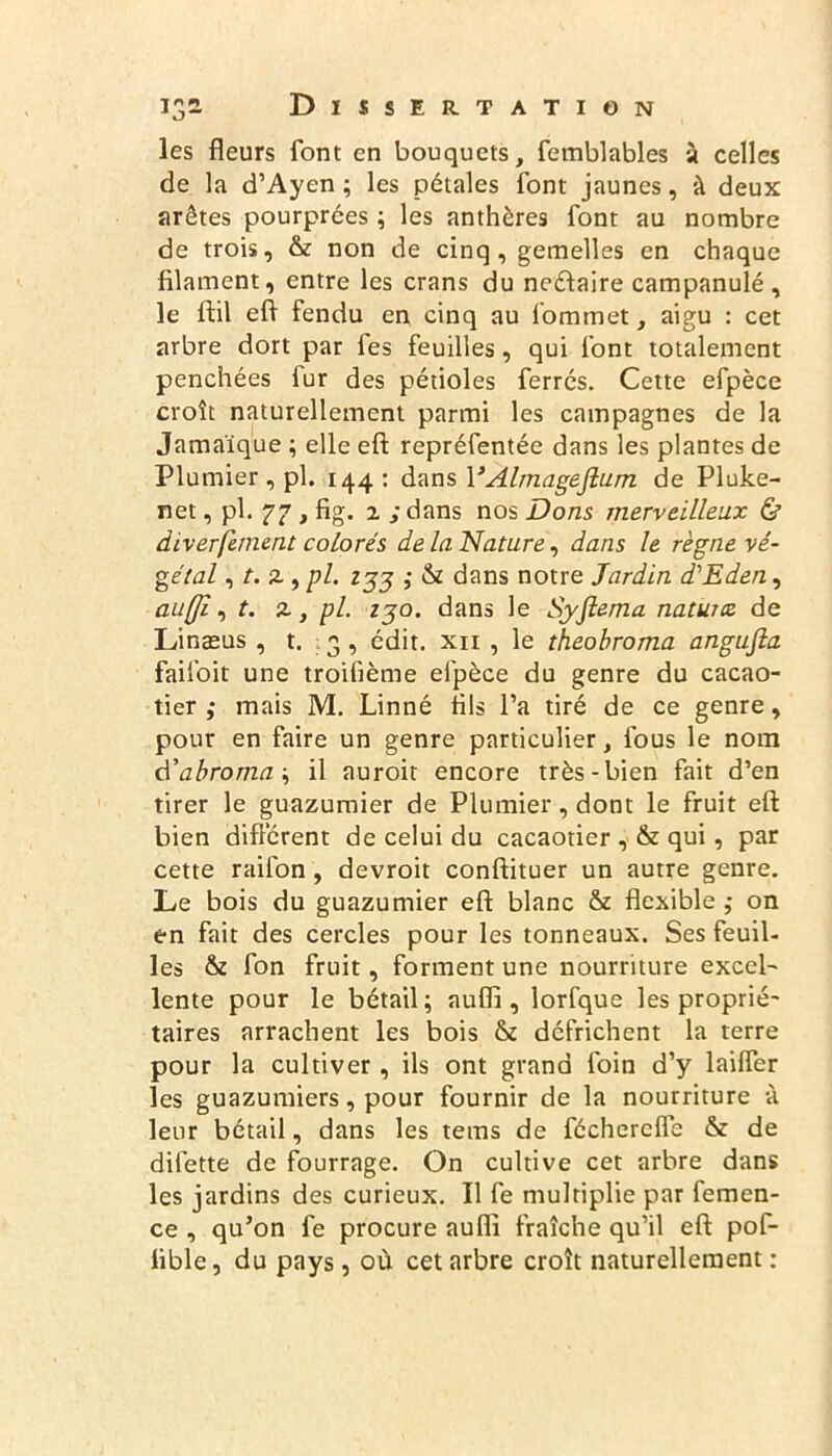 les fleurs font en bouquets, femblables à celles de la d’Ayen ; les pétales font jaunes, à deux arêtes pourprées ; les anthères font au nombre de trois, & non de cinq, gemelles en chaque filament, entre les crans du neéiaire campanulé , le ftil efi fendu en cinq au l'ommet, aigu : cet arbre dort par fes feuilles, qui font totalement penchées fur des pétioles ferrés. Cette efpèce croît naturellement parmi les campagnes de la Jamaïque ; elle eft repréfentée dans les plantes de Plumier, pl. 144: dans VAltnageJium de Pluke- net, pl. 77 > fig. 2 ; dans nos Dons merveilleux & diverfernent colorés de la Nature, dans le règne vé- gétal , t. 2, pl. 133 ; & dans notre Jardin d'Eden, anffî, t. 2, pl. zgo. dans le Syftema natuuz de Linæus , t. 3, édit, xn , le theobroma angufia faifoit une troifième efpèce du genre du cacao- tier ,• mais M. Linné fils l’a tiré de ce genre, pour en faire un genre particulier, fous le nom d'abroma-, il auroit encore très-bien fait d’en tirer le guazumier de Plumier, dont le fruit eft bien différent de celui du cacaotier , & qui, par cette railon, devroit conftituer un autre genre. Le bois du guazumier eft blanc & flexible ; on en fait des cercles pour les tonneaux. Ses feuil- les &z fon fruit, forment une nourriture excel- lente pour le bétail; aufli, lorfque les proprié- taires arrachent les bois & défrichent la terre pour la cultiver , ils ont grand foin d’y laifler les guazumiers, pour fournir de la nourriture à leur bétail, dans les tems de fécherefle & de difette de fourrage. On cultive cet arbre dans les jardins des curieux. Il fe multiplie par femen- ce , qu’on fe procure aufli fraîche qu’il eft pof- iible, du pays, où cet arbre croît naturellement :