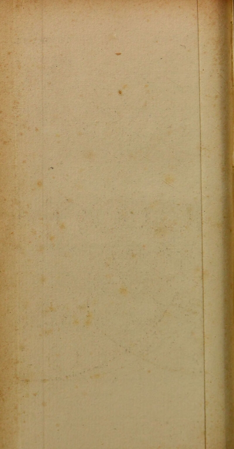 K WWW* ' •• • ^ • ■ ; • „ ïa - m - y . ► , ' •. r/ • ' . » • - - *• » - - ■ .» • . H ■w : t. -s* ■ ir. ’ ■