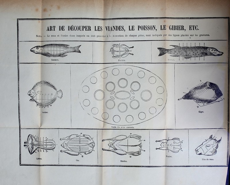 ART DE DÉCOUPER LES VIANDES, LE POISSON, LE GIBIER, ETC Nota. — Le sens et l’ordre dans lesquels on doit procéder à la dissection do chaque pièce, sont indiqués par des lignes placées sur les gravures,