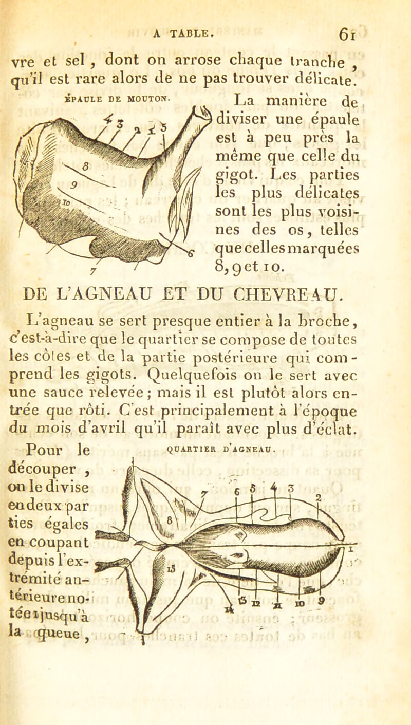 vre et sel , dont on arrose chaque tranche , qu’il est rare alors de ne pas trouver délicate. BPAÜIE DE MOUTON. La manière de diviser une épaule est à peu près la même que celle du gigot. Les parties les plus délicates sont les plus voisi- nes des os, telles que celles marquées 8, g et 10. DE L’AGNEAU ET DU CHEVREAU. L’agneau se sert presque entier à la broche, c’est-a-dire que le quartier se compose de toutes les côles et de la partie postérieure qui com- prend les gigots. Quelquefois on le sert avec une sauce relevée ; mais il est plutôt alors en- trée que rôti. C’est principalement à l’époque du mois d’avril qu’il paraît avec plus d’éclat. Pour le découper , on le divise endeux'par ties égales en coupant depuis l’ex- trémité an- térieure no- tée xjusqu’à la queue , QUARTIER d’agneau.