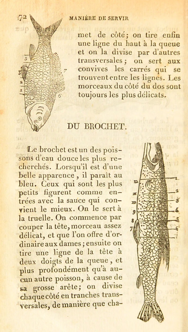 DU BROCHET. met de côte; on lire enfin une ligne du haut à la queue et on la divise par d’autres transversales ; on sert aux convives les carrés qui se trouvent entre les lignes. Les morceaux du côté du dos sont toujours les plus délicats. Le brochet est un des pois- sons d’eau douce les plus re- cherchés. Loi’squ’il est d’une belle apparence , il parait au bleu. Ceux qui sont les plus petits figurent comme en- trées avec la sauce qui con- vient le mieux. On le sert à la truelle. On commence par couper la tête, morceau assez délicat, et que l’on offre d’or- dinaire aux dames ; ensuite on tire une ligne de la tête à deux doigts de la queue, et plus profondément qu’à au- cun autre poisson, à cause de sa grosse arête; ou divise chaque côte en tranches trans- versales, de manière que cha-