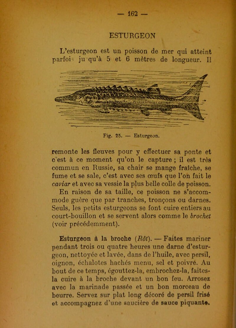 ESTURGEON L’esturgeon est un poisson de mer qui atteint parfois ju qu’à 5 et 6 mètres de longueur. Il remonte les fleuves pour y effectuer sa ponte et c'est à ce moment qu’on le capture ; il est très commun en Russie, sa chair se mange fraîche, se fume et se sale, c’est avec ses œufs que l’on fait le caviar et avec sa vessie la plus belle colle de poisson. En raison de sa taille, ce poisson ne s’accom- mode guère que par tranches, tronçons ou darnes. Seuls, les petits esturgeons se font cuire entiers au court-bouillon et se servent alors comme le brochet (voir précédemment). Esturgeon à la broche (Rôt). — Faites mariner pendant trois ou quatre heures une darne d’estur- geon, nettoyée et lavée, dans de l’huile, avec persil, oignon, échalotes hachés menu, sel et poivre. Au bout de ce temps, égouttez-la, embrochcz-la, faites- la cuire à la broche devant un bon feu. Arrosez avec la marinade passée et un bon morceau de beurre. Servez sur plat long décoré de persil frisé et accompagnez d’une saucière de sauce piquante.