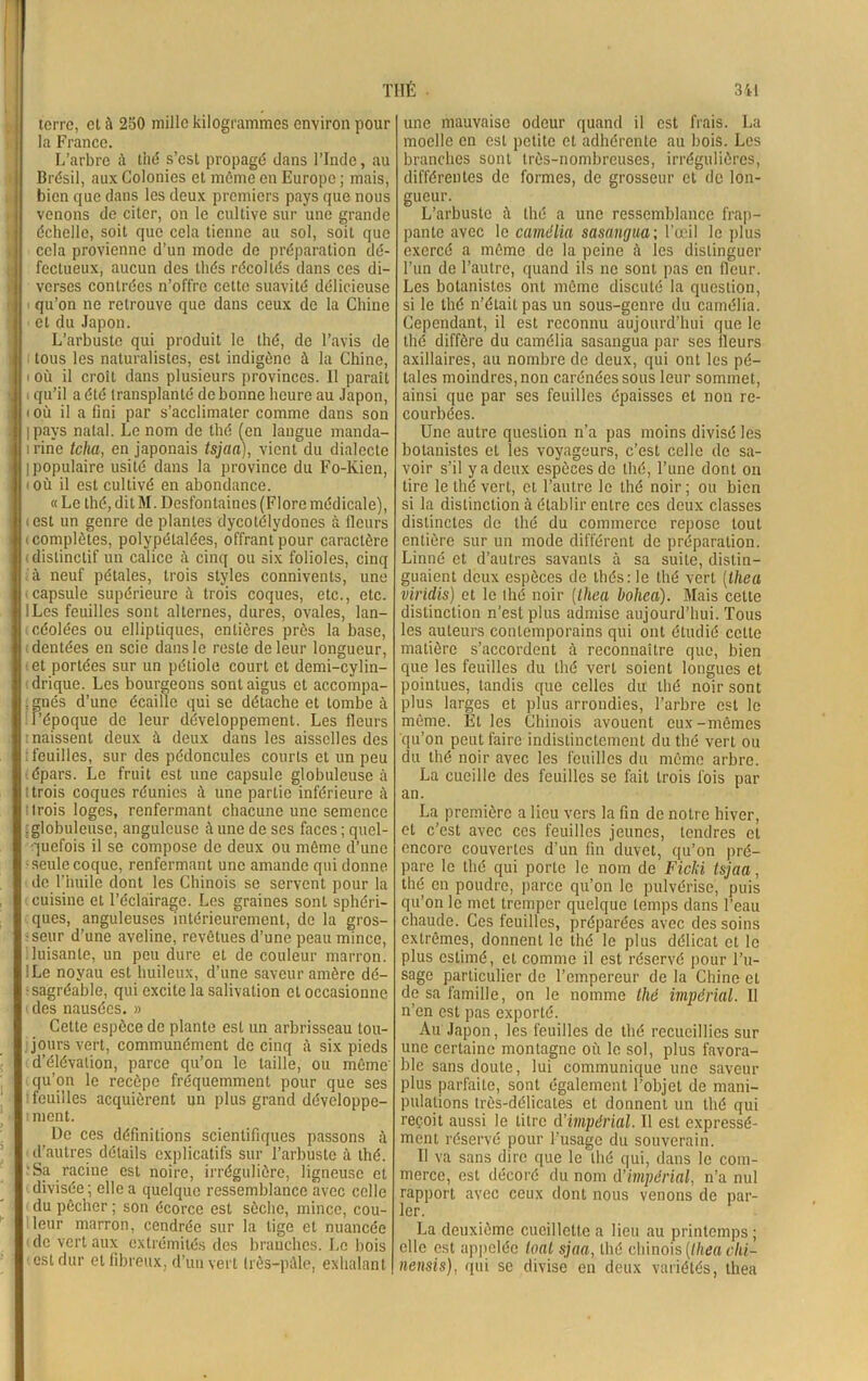 terre, et ù 250 mille kilogrammes environ pour la France. L’arbre à thé s’est propagé dans l’Inde, au Brésil, aux Colonies et môme en Europe ; mais, bien que dans les deux premiers pays que nous venons de citer, on le cultive sur une grande échelle, soit que cela tienne au sol, soit que cela provienne d’un mode de préparation dé- fectueux, aucun des thés récoltés dans ces di- verses contrées n’offre cette suavité délicieuse qu’on ne retrouve que dans ceux de la Chine et du Japon. L’arbuste qui produit le thé, de l’avis de tous les naturalistes, est indigène à la Chine, i où il croit dans plusieurs provinces. 11 paraît i qu’il a été transplanté de bonne heure au Japon, i où il a fini par s’acclimater comme dans son ipays natal. Le nom de thé (en langue manda- i rine tclia, en japonais tsjaa), vient du dialecte Ipopulaire usité dans la province du Fo-Kien, (Où il est cultivé en abondance. « Le thé, dit M. Desfontaines (Flore médicale), < est un genre de plantes dycotélydones à fleurs (complètes, polypétalées, offrant pour caractère (distinctif un calice à cinq ou six folioles, cinq à neuf pétales, trois styles connivents, une tcapsule supérieure à trois coques, etc., etc. ILes feuilles sont alternes, dures, ovales, lan- ■ céolées ou elliptiques, entières près la base, dentées en scie dans le reste de leur longueur, et portées sur un pétiole court et demi-cylin- drique. Les bourgeons sont aigus et accompa- ; gnés d’une écaille qui se détache et tombe à l’époque de leur développement. Les fleurs naissent deux à deux dans les aisselles des : feuilles, sur des pédoncules courts et un peu (épars. Le fruit est une capsule globuleuse à ttrois coques réunies à une partie inférieure à i trois loges, renfermant chacune une semence (globuleuse, anguleuse à une de ses faces; quel- quefois il se compose de deux ou même d’une ; seule coque, renfermant une amande qui donne de l’huile dont les Chinois se servent pour la cuisine et l’éclairage. Les graines sont sphéri- ques, anguleuses intérieurement, de la gros- -seur d’une aveline, revêtues d’une peau mince, luisante, un peu dure et de couleur marron. !Le noyau est huileux, d’une saveur amère dé- sagréable, qui excite la salivation et occasionne < des nausées. » Cette espèce de plante est un arbrisseau tou- jours vert, communément de cinq à six pieds d’élévation, parce qu’on le taille, ou même’ qu’on le recèpe fréquemment pour que ses [feuilles acquièrent un plus grand développe- iment. De ces définitions scientifiques passons à d’autres détails explicatifs sur l’arbuste à thé. iSa racine est noire, irrégulière, ligneuse et divisée ; elle a quelque ressemblance avec celle du pêcher ; son écorce est sèche, mince, cou- leur marron, cendrée sur la lige et nuancée de vert aux extrémités des branches. Le bois est dur et fibreux, d’un vert Irês-piUe, exhalant une mauvaise odeur quand il est frais. La moelle en est petite et adhérente au bois. Les branches sont très-nombreuses, irrégulières, différentes de formes, de grosseur et de lon- gueur. L’arbuste à thé a une ressemblance frap- pante avec le camélia sasangua; l’œil le plus exercé a même de la peine à les distinguer l’un de l’autre, quand ils ne sont pas en fleur. Les botanistes ont même discuté la question, si le thé n’était pas un sous-genre du camélia. Cependant, il est reconnu aujourd’hui que le thé diffère du camélia sasangua par ses fleurs axillaires, au nombre de deux, qui ont les pé- tales moindres, non carénées sous leur sommet, ainsi que par ses feuilles épaisses et non re- courbées. Une autre question n’a pas moins divisé les botanistes et les voyageurs, c’est celle de sa- voir s’il y a deux espèces de thé, l’une dont on tire le thé vert, et l’autre le thé noir ; ou bien si la distinction à établir entre ces deux classes distinctes de thé du commerce repose tout entière sur un mode différent de préparation. Linné et d’autres savants à sa suite, distin- guaient deux espèces de thés: le thé vert [thea viridis) et le thé noir (thea kohea). Mais cette distinction n’est plus admise aujourd’hui. Tous les auteurs contemporains qui ont étudié celte matière s’accordent à reconnaître que, bien que les feuilles du thé vert soient longues et pointues, tandis que celles du thé noir sont plus larges et plus arrondies, l’arbre est le même. Et les Chinois avouent eux-mêmes qu’on peut faire indistinctement du thé vert ou du thé noir avec les feuilles du même arbre. La cueille des feuilles se fait trois fois par an. La première a lieu vers la fin de notre hiver, et c’est avec ces feuilles jeunes, tendres et encore couvertes d’un fin duvet, qu’on pré- pare le thé qui porte le nom de Ficki tsjaa, thé en poudre, parce qu’on le pulvérise, puis qu’on le met tremper quelque temps dans l’eau chaude. Ces feuilles, préparées avec des soins extrêmes, donnent le thé le plus délicat et le plus estimé, cl comme il est réservé pour l’u- sage particulier de l’empereur de la Chine et de sa famille, on le nomme thé impérial. Il n’en est pas exporté. Au Japon, les feuilles de thé recueillies sur une certaine montagne où le sol, plus favora- ble sans doute, lui communique une saveur plus parfaite, sont également l’objet de mani- pulations très-délicates et donnent un thé qui reçoit aussi le litre d'impérial. Il est expressé- ment réservé pour l’usage du souverain. 11 va sans dire que le thé qui, dans le com- merce, est décoré du nom d'impérial, n’a nul rapport avec ceux dont nous venons de par- ler. La deuxième cueillette a lieu au printemps; elle est appelée loat sjaa, thé chinois (thea clii- nensis), qui se divise en deux variétés, thea