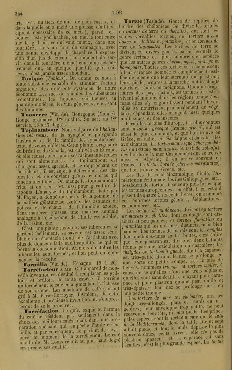 TOR trie avec un tiers de mie de pain rassis, et dans laquelle ou a môle une gousse d’ail (ex- cipient nécessaire de ce mets), persil, ci- boules, estragon hachés, on met le tout cuire sur le gril ou, ce qui vaut mieux, dans une tourtière, sous un four de campagne, avec une bonne enveloppe de chapelure. L’expres- sion d’un jus de citron ( au moment de ser- vir, dans la tourtière même) couronne cet en- tremets, qui, en quelque quantité qu’il soit servi, n’est jamais assez abondant. Tonique (TonicusY On donne ce nom à toute substance capable de stimuler l’action organique des différents systèmes de notre économie. Les sucs desviandes, les substances aromatiques, les liqueurs spiritueuses en quantité modérée, les vins généreux, etc., sont des toniques. Tonnerre (Vin de). Bourgogne (Yonne). Rouge ordinaire, lre qualité. Se sert au 1er service, 16 à 17 degrés. Topinambour. Nom vulgaire de Yhelian- thus tuberosus, de la syngénésie polygamie frustranée et de la famille des synanthérées, tribu des corymbifères. Celle plante, originaire du Brésil et du Canada, est cultivée en Europe, où elle réussit bien, pour ses racines tubéreuses qui sont alimentaires. Le topinambour est d’un goût assez agréable et se rapprochant de l’artichaut ; il est sujet à déterminer des fla- tuosités et ne convient qu’aux estomacs qui fonctionnent bien. On mange les topinambours frits, et on s’en sert aussi pour garniture de ragoûts. L’analyse du topinambour, faite par M. Payen, a donné du sucre, de la gomme, de la matière gélatineuse azotée, des azotates de potasse et de chaux , de l’albumine azotée, deux matières grasses, une matière animale analogue à l’osmazome, de l’huile essentielle, de la résine, etc. C’est une plante rustique ; ses tubercules se gardent facilement, sa saveur est assez sem- blable au réceptacle (fond) de l’artichaut avec plus de douceur fade et d’insipidité, ce qui en borne la consommation. Au mois d’octobre les tubercules sont formés, et 1 on peut en com mencer la récolte. Tormilla (Vin de). Espagne. 19 à 20». Torréfacteur \ air. Cet appareil de nou- velle invention est destiné à remplacer les gril- loirs et brûloirs de toute espèce. U torréfie uniformément le café en augmentant la richesse de son arôme. Les amateurs de café sam ont gré à M. Paris-Corroyer, d’Amiens, de cette excellente et précieuse invention, cl s empres- seront de se la procurer. . Torréfaction. Le goût exquis et 1 arôme du café ne résident pas seulement dans le choix des meilleurs cafés, mais dans une pré- paration spéciale qui empêche I huile essen- tielle, et par conséquent, le parfum de s éva- porer au moment de la torréfaction. Le café moulu de M. Louis réunit au plus haut degrc ces précieuses qualités. Tortue (Testudo). Genre de reptiles de l’ordre des chéloniens. On divise les tortues en tortues de terre ou chersites, qui sont^ les seules véritables tortues; en tortues d'eau douce ou éloditcs et potamites, et en tortues de mer ou thalassiles. Les tortues de terre se divisent en divers genres, parmi lesquels le genre testudo est plus nombreux en espèces que les autres genres chersa, ptjxis, cinixys et homopodes. Toutes ces tortues se reconnaissent ù leur carapace bombée et complètement ossi- fiée de même que leur sternum ou plastron ; leurs pieds, propres à la marche, ont les doigts courts et réunis en moignons. Quoique origi- naires des pays chauds, les tortues terrestres vivent néanmoins dans les régions tempérées ; mais elles s’y engourdissent pendant l’hiver ; elles se nourrissent principalement de végé- taux, cependant elles mangent aussi quelques mollusques et des insectes. Parmi les tortues d’Europe, les plus connues sont la tortue grecque (testudo grœca), qui est aussi la plus commune, et que l’on trouve en Grèce, en Italie, en Sardaigne et dans les îles avoisinantes. La tortue mauresque (chersus ité- ras ou testudo mauritanica et testudo zolhafa), des bords de la mer Caspienne et qui se trouve aussi en Algérie; il en arrive souvent en 7rance. La tortue bordée (chersus marginatus), que l’on trouve en Grèce, etc. Les îles du canal Mozambique, l’Inde, 1 A- niérique méridionale, les îles Gallopagucs, etc., Dossêdcnt des tortues beaucoup plus tortes que es tortues européennes ; en effet, il en est qui lèsent de quatre à six cents livres ; on a nommé ces énormes tortues géantes , éléphantines , carbonnières, etc. , . . . Les tortues d’eaudoucese divisent en tortues de marais ou éloditcs, dont les doigts sont dis- tincts et peu palmés; et tortues jluvialiles ou potamites qui les ont aussi distincts, mais bien palmés. Les tortues de marais sont les émyaes dont quelques-unes sont à boîtes, c est-à-dirc que leur plastron est divisé en deux battants réunis par une articulation en charnière, les chélydes ou tortues à gueule, dont la caparace est très-petite et dont le nez se prolonge en une sorte de petite trompe. Les tortues de fleuves, nommées trionyx et tortues molles, a cause de ce qu’elles n’ont que trois ongles et qu’elles sont sans écailles, n’ayant pour cura pace et pour plastron qu’une peau molle et très-épaisse ; leur nez se prolonge aussi en une petite trompe. . „ . . . „ Les tortues de mer ou chélonées, ont les doigts très-allongés, plats et réunis en na- geoires; leur enveloppe trop petite, ne } eu recevoir ni leur tête, ni leurs pieds. Les princi- pales espèces sont la tortue a cuir ou le luth de la Méditerranée, dont la tai le atteint sept à huit pieds, et dont le poids dépasse le plus souvent douze cents livres; elle na pas de plastron apparent et sa caparace est sans écailles; c’est la plus grande espèce. La tortue