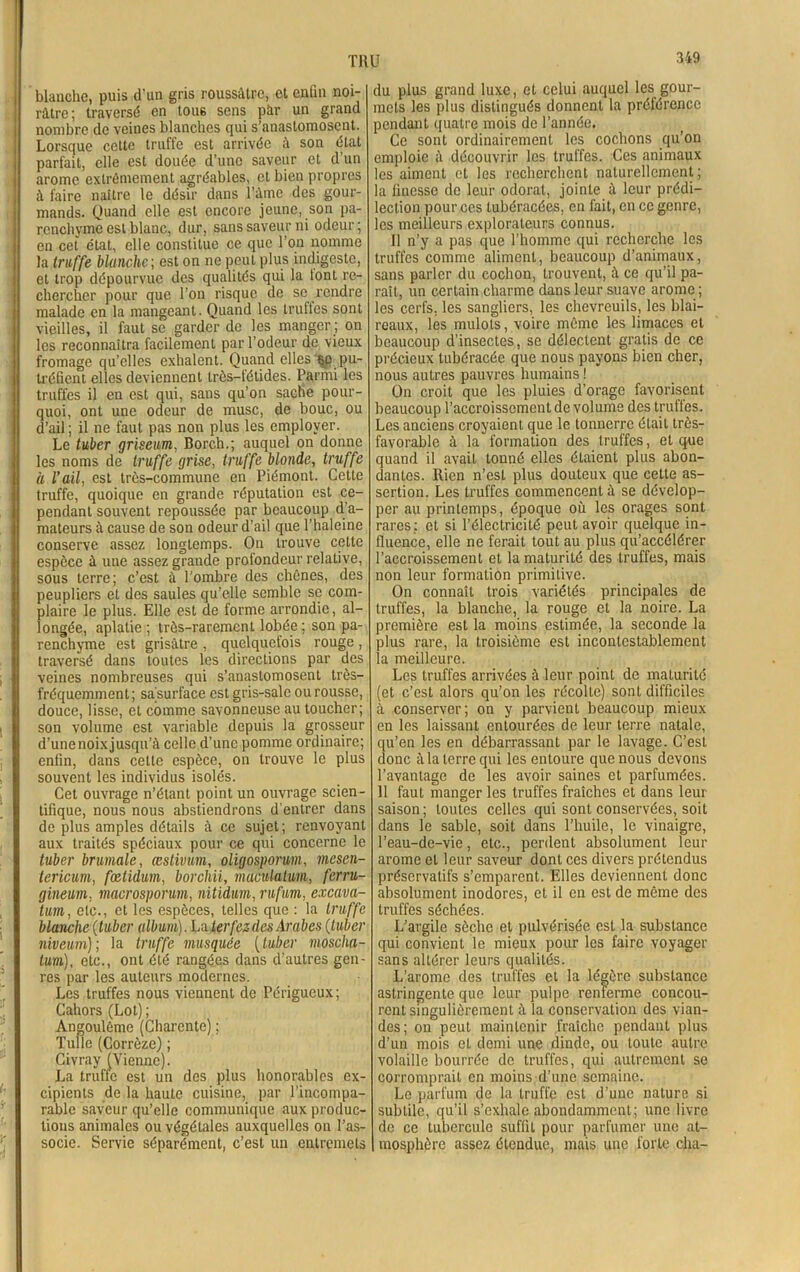 blanche, puis d'un gris roussâtrc, et enfin noi- râtre; traversé en tou6 sens par un grand nombre de veines blanches qui s’anastomosent. Lorsque cette truffe est arrivée à son état parfait, elle est douée d’une saveur et d’un arôme extrêmement agréables, et bien propres à faire naître le désir dans l'âme des gour- mands. Quand elle est encore jeune, son pa- renchyme est blanc, dur, sans saveur ni odeur; en cet état, elle constitue ce que l’on nomme la truffe blanche ; est on ne peut plus indigeste, et trop dépourvue des qualités qui la tonl re- chercher pour que l’on risque de se rendre malade en la mangeant. Quand les trufles sont vieilles, il faut se garder de les manger ; on les reconnaîtra facilement par l’odeur de vieux fromage qu’elles exhalent. Quand elles 50 pu- tréfient elles deviennent très-fétides. Parmi les truffes il en est qui, sans qu’on sache pour- quoi, ont une odeur de musc, de bouc, ou d’ail; il ne faut pas non plus les employer. Le tuber griseum, Borch.; auquel on donne les noms de truffe grise, truffe blonde, truffe à l’ail, est très-commune en Piémont. Cette truffe, quoique en grande réputation est ce- pendant souvent repoussée par beaucoup d’a- mateurs à cause de son odeur d’ail que P haleine conserve assez longtemps. On trouve cette espèce à une assez grande profondeur relative, sous terre; c’est à l’ombre des chênes, des peupliers et des saules qu’elle semble se com- plaire le plus. Elle est de forme arrondie, al- longée, aplatie; très-rarement lobée; son pa- renchyme est grisâtre , quelquefois rouge , traversé dans toutes les directions par des veines nombreuses qui s’anastomosent très- fréquemment; sâsurface est gris-sale ou rousse, douce, lisse, et comme savonneuse au toucher; son volume est variable depuis la grosseur d’une noix jusqu’à celle d’une pomme ordinaire; enfin, dans cette espèce, on trouve le plus souvent les individus isolés. Cet ouvrage n’étant point un ouvrage scien- tifique, nous nous abstiendrons d’entrer dans de plus amples détails à ce sujet; renvoyant aux traités spéciaux pour ce qui concerne le tuber brumale, œstivum, oligosporum, mesen- tericum, fætidum, borchii, maculatum, ferru- gineum, macrosporum, nitidum, rufum, excava- tum, etc., et les espèces, telles que : la truffe blanche (tuber album). La ter fez des Arabes (tuber niveum); la truffe musquée (tuber moscha- tum), etc., ont été rangées dans d’autres gen- res par les auteurs modernes. Les truffes nous viennent de Périgueux; Cahors (Lot) ; Angoulème (Charente) ; Tulle (Corrèze) ; Civray (Vienne). La truffe est un des plus honorables ex- cipients de la haute cuisine, par l’incompa- rable saveur qu’elle communique aux produc- tions animales ou végétales auxquelles on l’as- socie. Servie séparément, c’est un entremets du plus grand luxe, et celui auquel les gour- mets les plus distingués donnent la préférence pendant quatre mois de l’année. Ce sont ordinairement les cochons qu’on emploie à découvrir les truffes. Ces animaux les aiment et les recherchent naturellement; la finesse de leur odorat, jointe à leur prédi- lection pour ces lubéracées, en fait, en ce genre, les meilleurs explorateurs connus. Il n’y a pas que l’homme qui recherche les truffes comme aliment, beaucoup d’animaux, sans parler du cochon, trouvent, à ce qu’il pa- raît, un certain charme dans leur suave arôme ; les cerfs, les sangliers, les chevreuils, les blai- reaux, les mulots, voire même les limaces et beaucoup d’insectes, se délectent gratis de ce précieux tubéracée que nous payons bien cher, nous autres pauvres humains ! On croit que les pluies d’orage favorisent beaucoup l’accroissement de volume des truffes. Les anciens croyaient que le tonnerre était très- favorable à la formation des truffes, et que quand il avait louné elles étaient plus abon- dantes. Rien n’est plus douteux que cette as- sertion. Les truffes commencent à se dévelop- per au printemps, époque où les orages sont rares: et si l’électricité peut avoir quelque in- fluence, elle ne ferait tout au plus qu’accélérer l’accroissement et la maturité des truffes, mais non leur formation primitive. On connaît trois variétés principales de truffes, la blanche, la rouge et la noire. La première est la moins estimée, la seconde la plus rare, la troisième est incontestablement la meilleure. Les truffes arrivées à leur point de maturité (et c’est alors qu’on les récolte) sont difficiles à conserver; on y parvient beaucoup mieux en les laissant entourées de leur terre natale, qu’en les en débarrassant par le lavage. C’est donc à la terre qui les entoure que nous devons l’avantage de les avoir saines et parfumées. 11 faut manger les truffes fraîches et dans leur saison; toutes celles qui sont conservées, soit dans le sable, soit dans l’huile, le vinaigre, l’eau-de-vie, etc., perdent absolument leur arôme et leur saveur dont ces divers prétendus préservatifs s’emparent. Elles deviennent donc absolument inodores, et il en est de même des truffes séchées. L’argile sèche et pulvérisée est la substance qui convient le mieux pour les faire voyager sans altérer leurs qualités. L’arome des truffes et la légère substance astringente que leur pulpe renferme concou- rent singulièrement à la conservation des vian- des; on peut maintenir fraîche pendant plus d’un mois cl demi une dinde, ou toute autre volaille bourrée de truffes, qui autrement se corromprait en moins d’une semaine. Le parfum de la truffe est d’une nature si subtile, qu’il s’exhale abondamment; une livre de ce tubercule suffit pour parfumer une at- mosphère assez étendue, mais une forte cha-