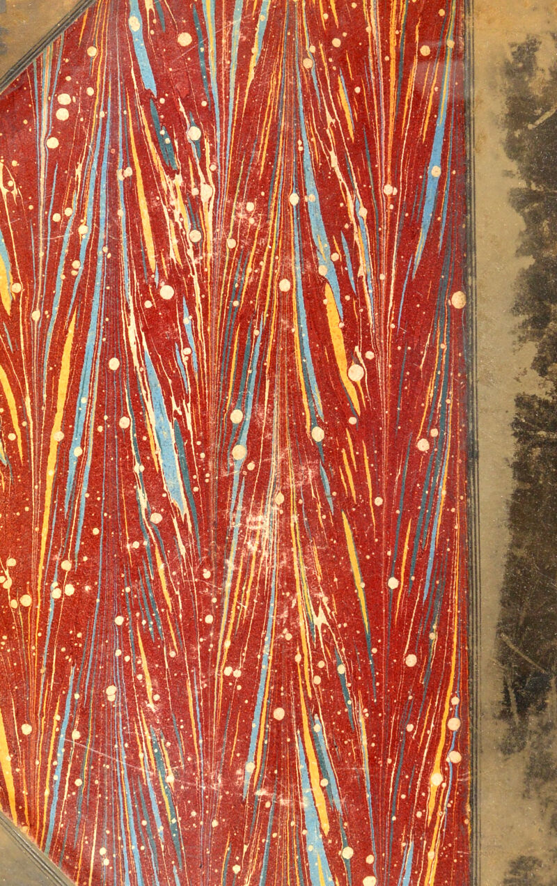 No text description is available for this image