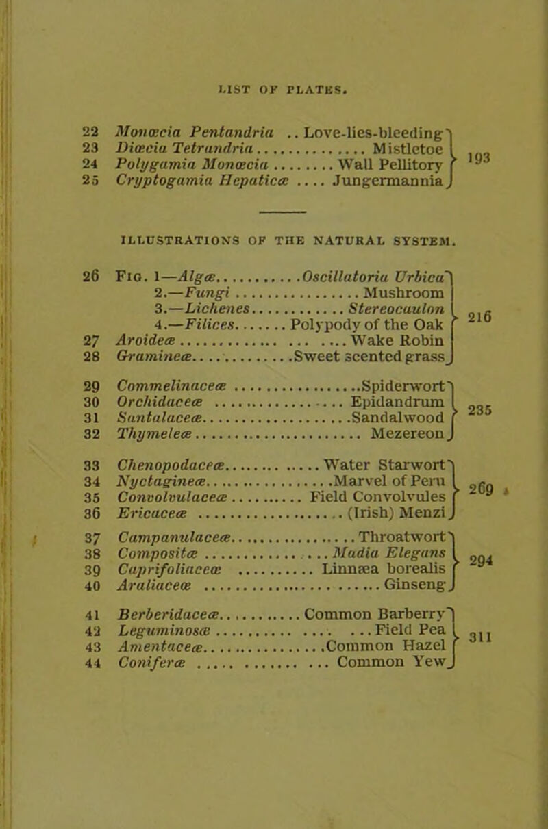 22 Mowscia Pentandria ..Love-lies-bleeding') 23 Dioecia Tetrundria Mistletoe I 24 Polygamia Monaecia Wall Pellitory [ * ’ 25 Cryptogamia Hepatica .... JungermanniaJ / 26 27 23 29 30 31 32 33 34 35 36 37 38 39 40 41 42 43 44 ILLUSTRATIONS OF THE NATURAL SYSTEM. Fio. 1—Alga: Oscillatoria Urbicu' 2. —Fungi Mushroom 3. —Licbenes Stereocaulnn 4. —Filices Polypody of the Oak Aroidece Wake Robin Graminece.. Sweet scented grass_ 216 Commelinaceee Spiderwort') Orchidacea Epidandrum I Suntalaceee Sandalwood f Thymelece Mezereon J 235 Chenopodacete Water Starwort'i Nyctagine.ee Marvel of Peru I 0,-Q Convolvulaceee Field Convolvules f y * Ericuce.ee (Irish) Menzi J Campanulacece Throatwort) Composite Madia Elegans I 0„, Cuprifoliaceee Linmea borealis r ~y Araliaceos Ginseng J Berberidaceee. Common Barberry-) Leguminosee ...Field Pea i 311 Amentacece Common Hazel f Conifer<e Common YewJ
