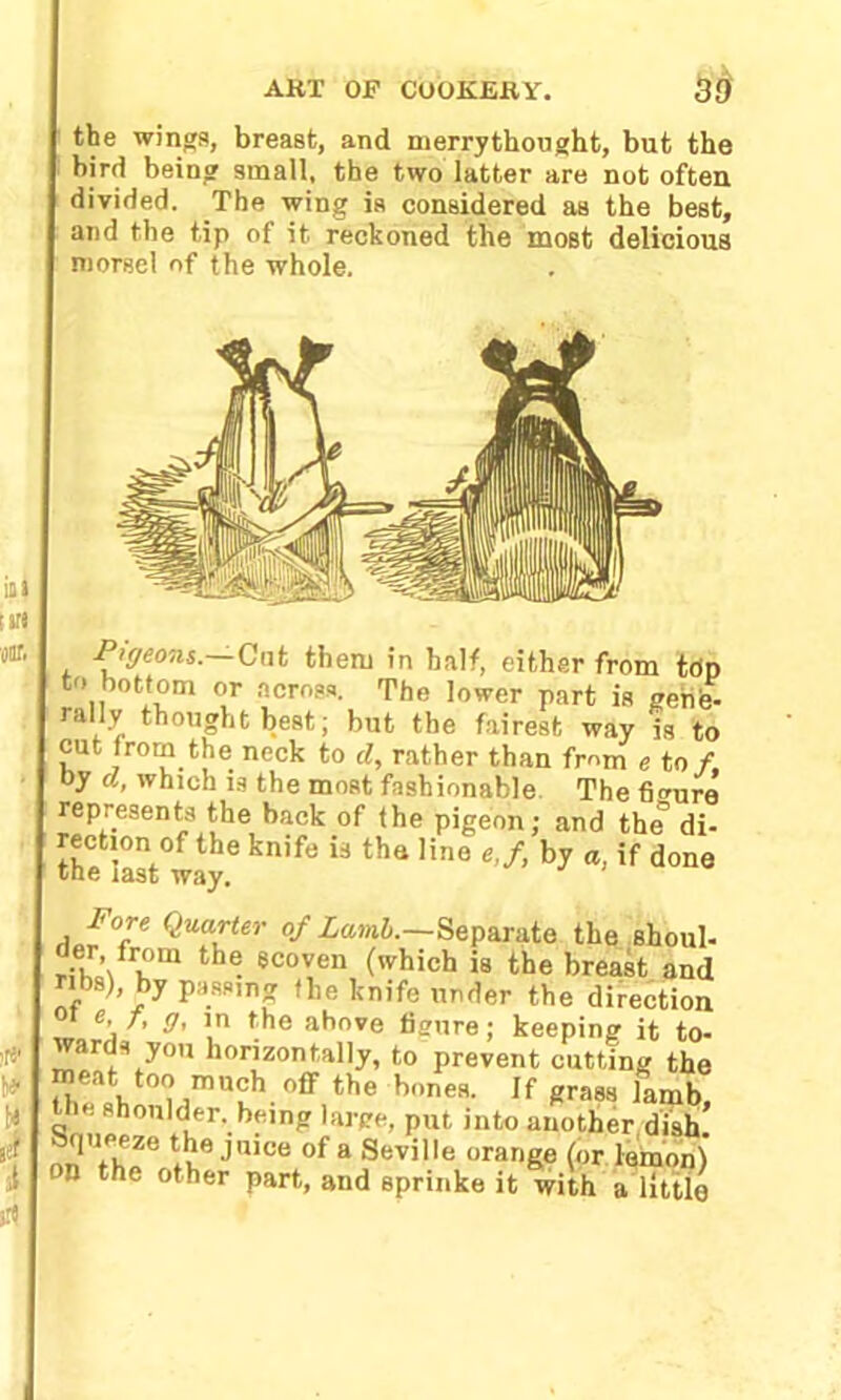 the wings, breast, and merrythought, but the bird being small, the two latter are not often divided. The wing is considered as the best, and the tip of it reckoned the most delicious morsel of the whole. Pigeons.—Cut them in half, either from thD to bottom or across. The lower part is gene- ally thought best; but the fairest way is to cut from the neck to cl, rather than from e to hy a, which is the most fashionable The figure represents the back of (he pigeon; and the3 di- rection of the knife is the line e.f, by a, if done tne last way. I'ore Quarter of Lamb.—Separate the shoul- rilf \ riT th® 6C0Ven (which ia the breast and lbs), by passing (he knife under the direction e, /, <7, in the ahove figure; keeping it to- wards you horizontally, to prevent cutting the meat too much off the bones. If grass ]amb, the shoulder, being large, put into another dish! squeeze the juice of a Seville orange (or lemon 1 on the other part, and sprinke it with a little