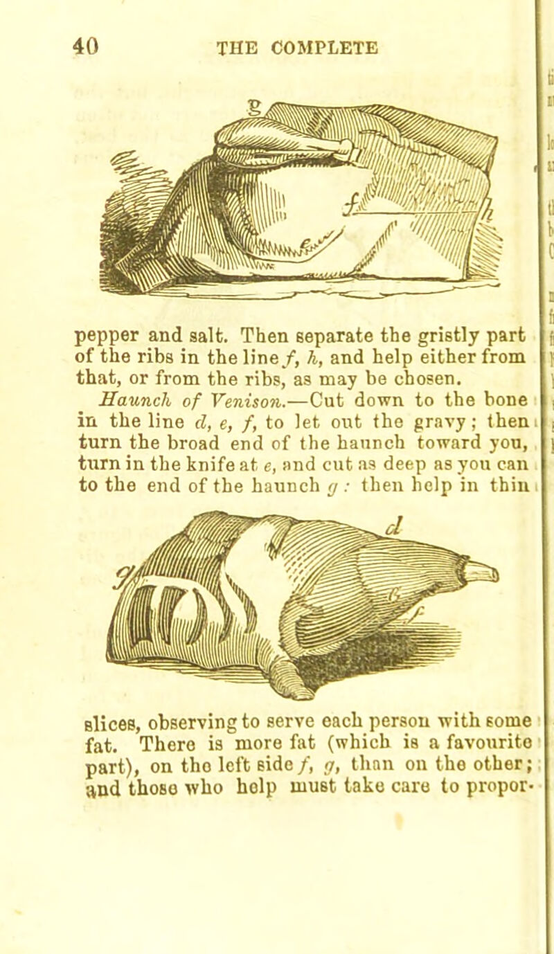 tl li I i pepper and salt. Then separate the gristly part of the ribs in the line/, h, and help either from ] that, or from the ribs, as may be chosen. Haunch of Venison.—Cut down to the bone in the line d, e, /, to let out the gravy; them , turn the broad end of the haunch toward you, ] turn in the knife at e, and cut as deep as you can to the end of the haunch g : then help in thin i Blices, observing to serve each persou with some fat. There is more fat (which is a favourite part), on tho left side/, g, than on the other; and those who holp must take care to propor-