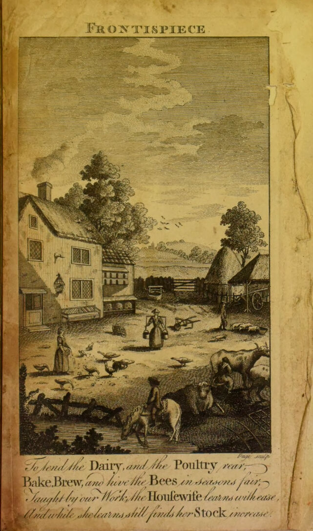 digitised image 3