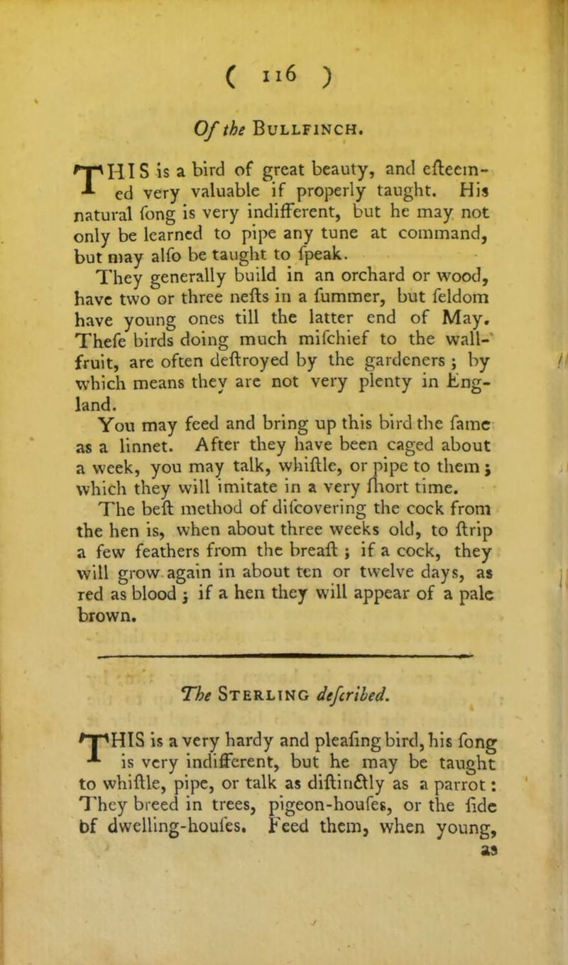 Of the Bullfinch. THIS is a bird of great beauty, and efteein- ed very valuable if properly taught. His natural fong is very indifferent, but he may not only be learned to pipe any tune at command, but may alfo be taught to fpeak. They generally build in an orchard or wood, have two or three nefts in a fummer, but feldom have young ones till the latter end of May. Thefe birds doing much mifchief to the wall- fruit, are often deftroyed by the gardeners ; by which means they are not very plenty in Eng- land . You may feed and bring up this bird the fame as a linnet. After they have been caged about a week, you may talk, whiftle, or pipe to them j which they will imitate in a very fhort time. The belt method of difeovering the cock from the hen is, when about three weeks old, to ffrip a few feathers from the breaft ; if a cock, they will grow again in about ten or twelve days, as red as blood j if a hen they will appear of a pale brown. The Sterling deferibed. *TpHIS is a very hardy and pleafing bird, his fong -* *■ is very indifferent, but he may be taught to whiftle, pipe, or talk as diftin&ly as a parrot: They breed in trees, pigeon-houfes, or the fide bf dwelling-houles. Feed them, when young, as