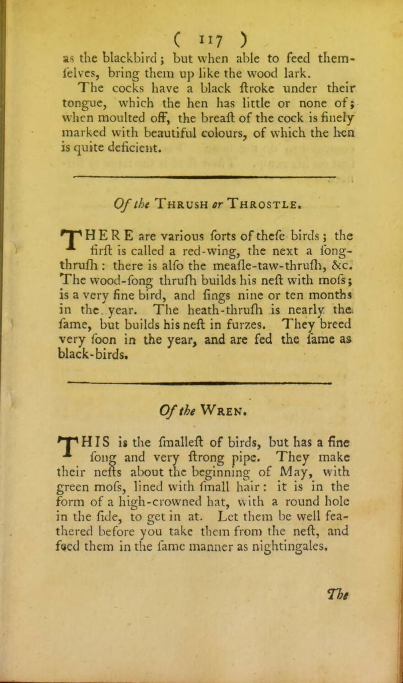 us the blackbird; but when able to feed them- lelves, bring them up like the wood lark. The cocks have a black ftroke under their tongue, which the hen has little or none of; when moulted off, the breaft of the cock is finely marked with beautiful colours, of which the hen is quite deficient. Of the Thrush or Throstle. HERE are various forts of thefe birds ; the **“ firft is called a red-wing, the next a l'ong- thrufli: there is alfo the meafle-taw-thrufh, he. The wood-fong thrufh builds his neft with mofs j is a very fine bird, and fings nine or ten months in the year. The heath-thrufh is nearly the. lame, but builds his neft in furzes. They breed very loon in the year, and are fed the fame as black-birds. Of the Wren. HIS is the fmalleft of birds, but has a fine fong and very ftrong pipe. They make their nefts about the beginning of May, with green mofs, lined with linall hair: it is in the form of a high-crowned hat, with a round hole in the fide, to get in at. Let them be well fea- thered before you take them from the neft, and feed them in the lame manner as nightingales. Tht