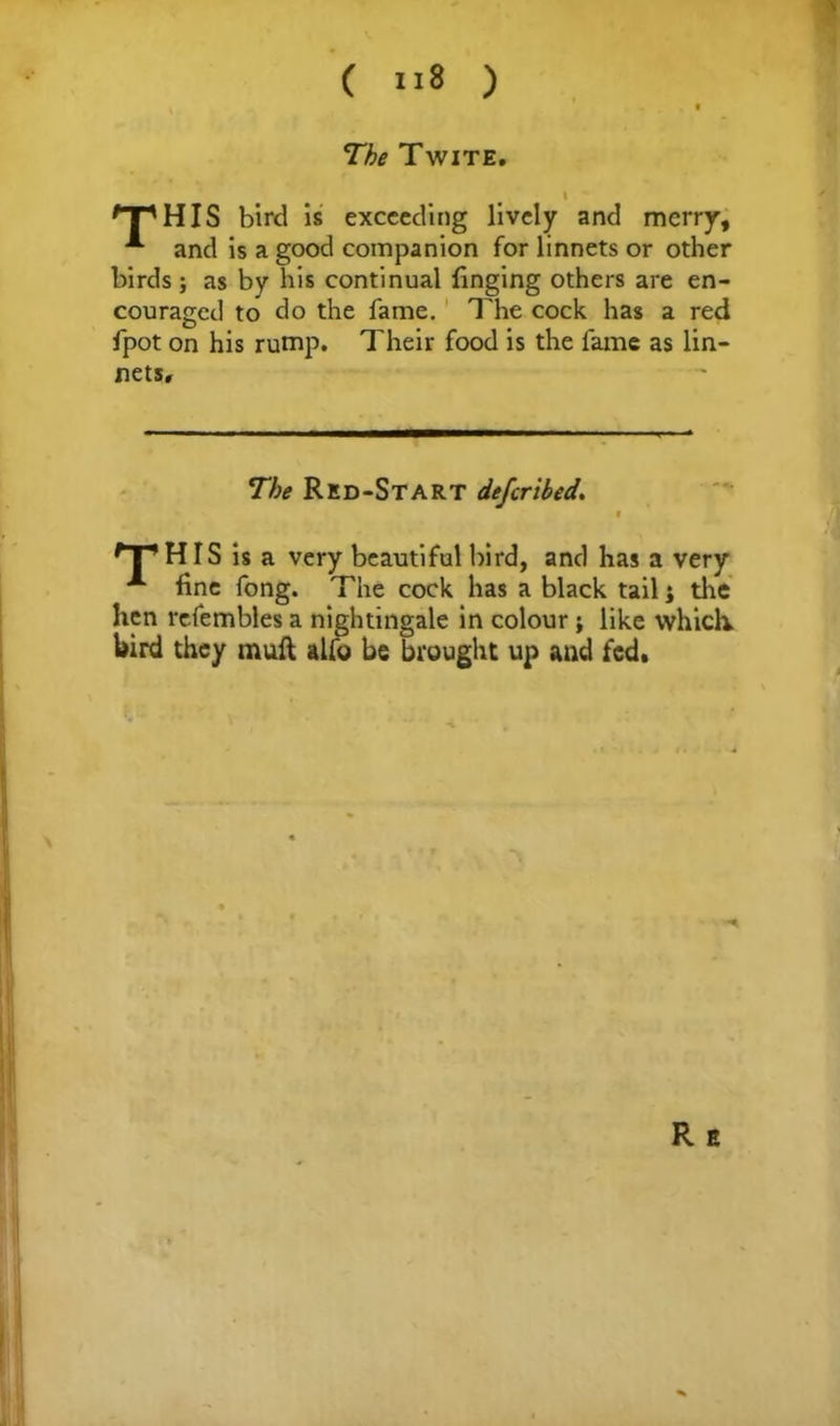 ( ) The Twite. t % *pHIS bird is exceeding lively and merry, * and is a good companion for linnets or other birds; as by his continual finging others are en- couraged to do the fame. The cock has a red fpot on his rump. Their food is the lame as lin- nets. The Red-Start deferibed. t HIS is a very beautiful bird, and has a very fine fong. The cock has a black tail j the lien refembles a nightingale in colour; like which bird they mult alfo be brought up and fed. R E