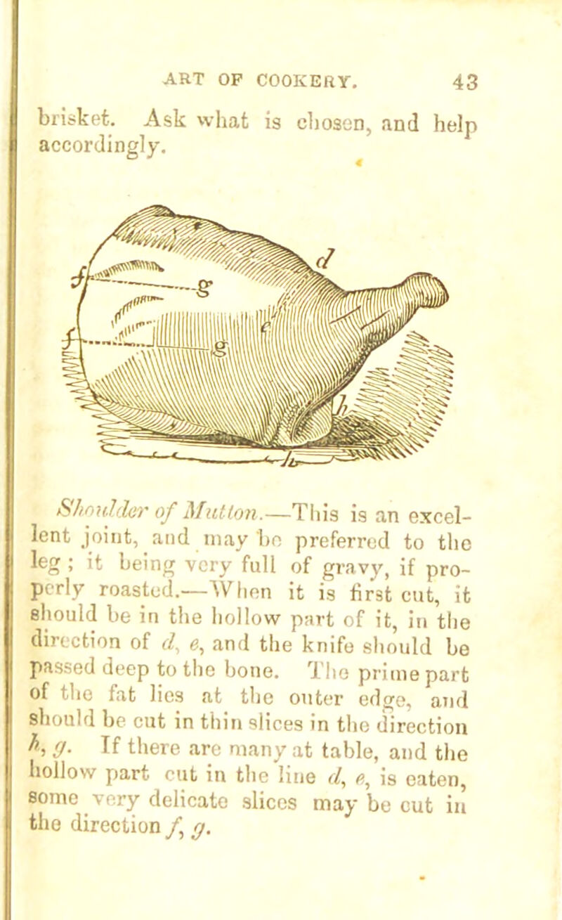 brisket. Ask what is chosen, and help accordingly. Shoulder of Hutton.—This is an excel- lent joint, and may ho preferred to the leg ; it being very full of gravy, if pro- perly roasted.—When it is first cut, it should be in the hollow part of it, in the direction of d, e, and the knife should be passed deep to the bone. The prime part of the fat lies at the outer edge, and should be cut in thin slices in the direction h V- If there are many at table, and the hollow part cut in the line r/, 0, is eaten, some very delicate slices may be cut in the direction f g.