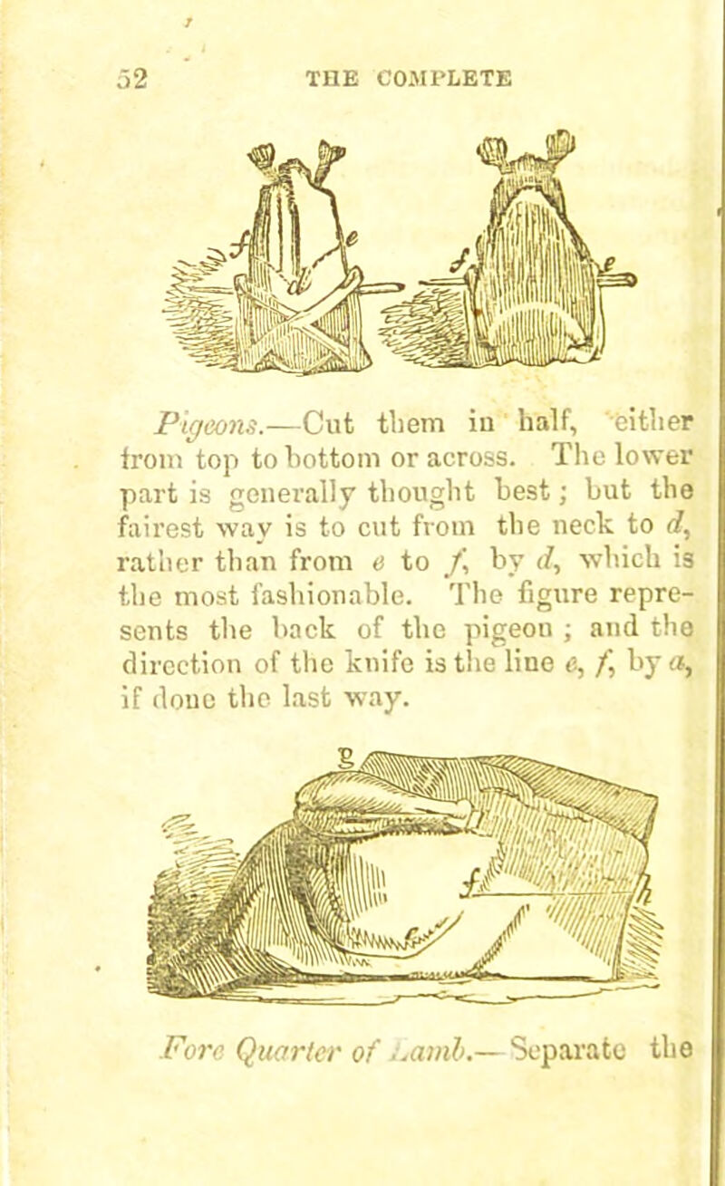 Pigeons.—Cut them iu half, either from top to bottom or across. The lower part is generally thought best; but the fairest way is to cut from the neck to d, rather than from e to /, by d, which is the most fashionable. The figure repre- sents the back of the pigeon ; and the direction of the knife is the line e, f, by a, if done the last way. Fore Quarter of Lamb.— Separate the