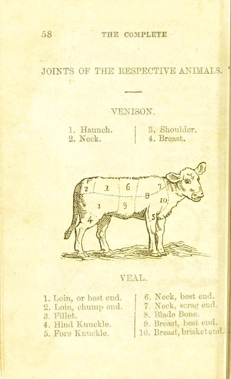 JOINTS OF THE RESPECTIVE ANIMALS. VENISON. 1. Haunch. 3, Shoulder. 2. Neck. 4. Breast. VEAL. 1. Loin, or best end. 2. Loin, chump end. 3. Fillet. 4. Hind Knuckle. 5. Fore Knuckle. 6. Neck, best end. 7. Neck, scrag end. 8. Blade Bone. S>. Breast, best end. 10. Breast, brisketoud