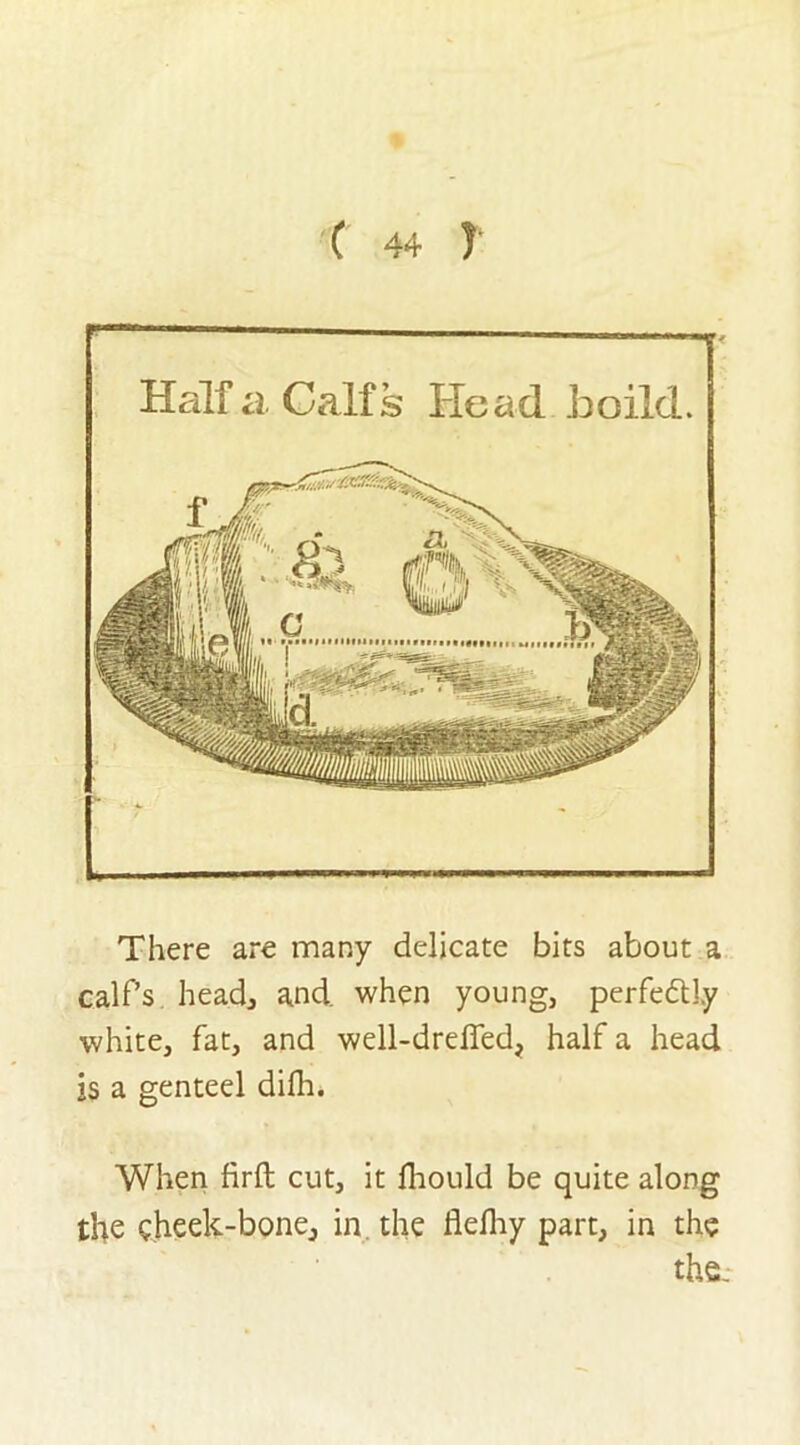 ( 4+ l There are many delicate bits about a calf’s head, and when young, perfectly white, fat, and well-drdfed, half a head is a genteel difli. ——————————■— — ——.' - Haifa Calfs Head hoild. When firft cut, it fhould be quite along the gheek-bone, in the flelhy part, in the the: