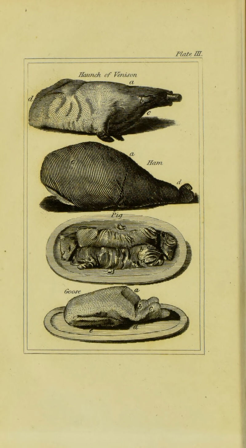 Plate, m.